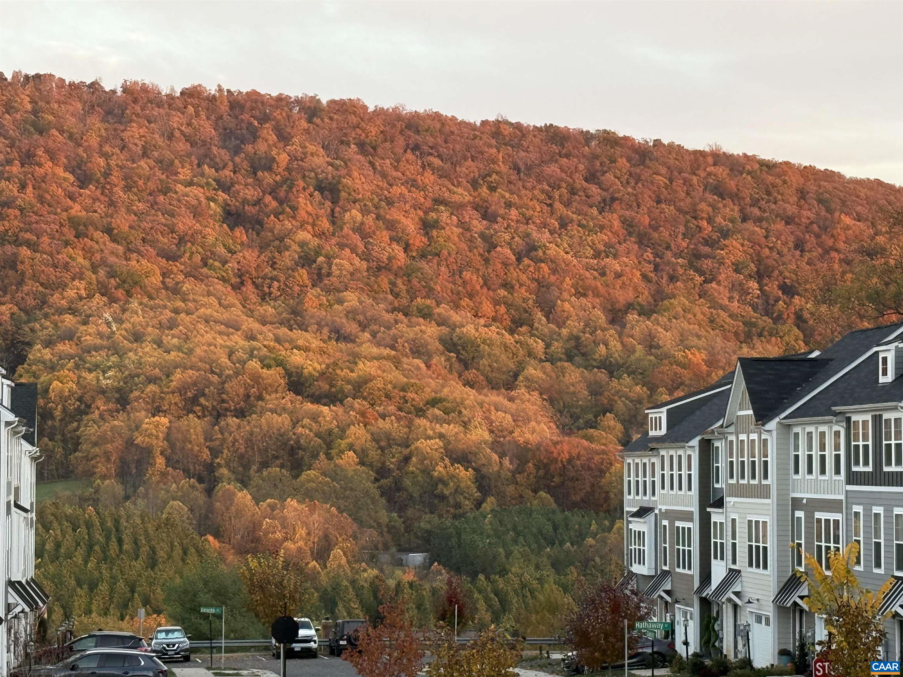 3006 ANOKO CT, CHARLOTTESVILLE, Virginia 22902, 4 Bedrooms Bedrooms, ,3 BathroomsBathrooms,Residential,3006 ANOKO CT,674745 MLS # 674745