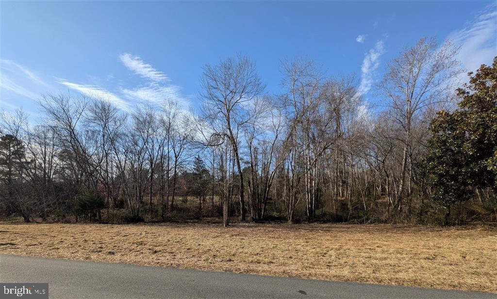 FORD AVE, STANARDSVILLE, Virginia 22973, ,Land,FORD AVE,VAGR2000832 MLS # VAGR2000832