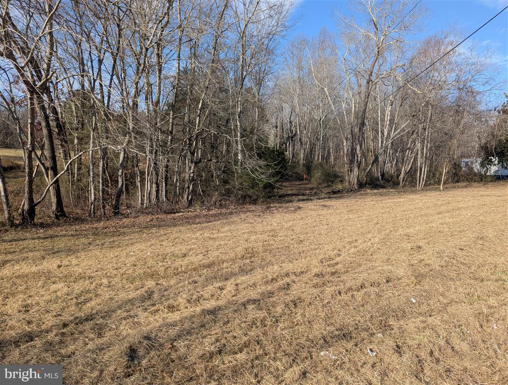 FORD AVE, STANARDSVILLE, Virginia 22973, ,Land,FORD AVE,VAGR2000832 MLS # VAGR2000832