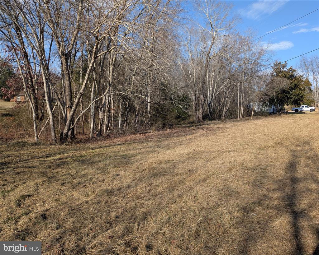 FORD AVE, STANARDSVILLE, Virginia 22973, ,Land,FORD AVE,VAGR2000832 MLS # VAGR2000832