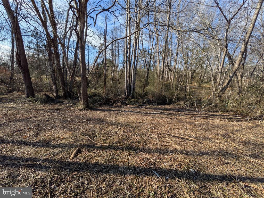 FORD AVE, STANARDSVILLE, Virginia 22973, ,Land,FORD AVE,VAGR2000832 MLS # VAGR2000832