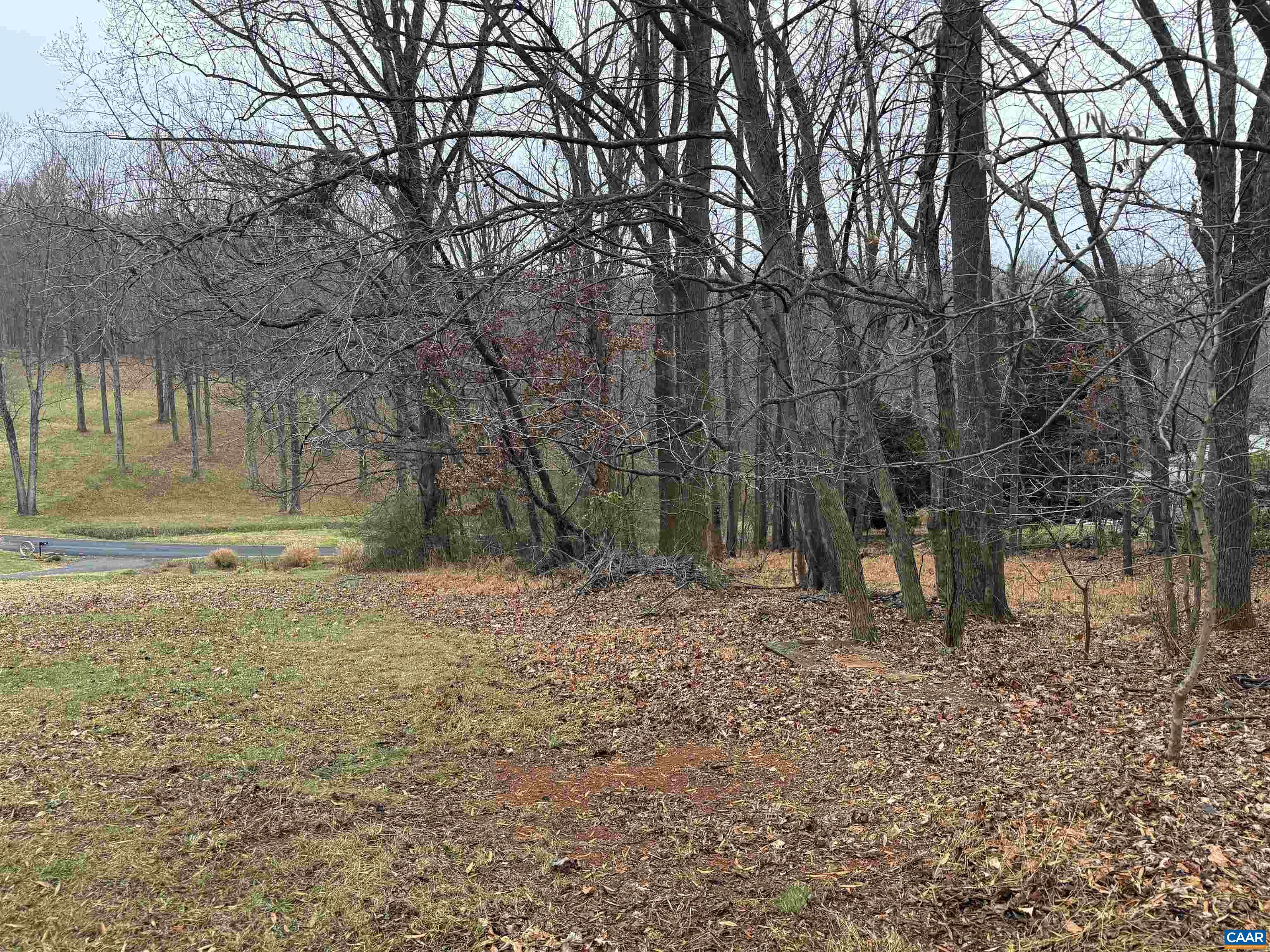 0 ROCKY HOLLOW RD, CHARLOTTESVILLE, Virginia 22911, ,Land,0 ROCKY HOLLOW RD,674761 MLS # 674761