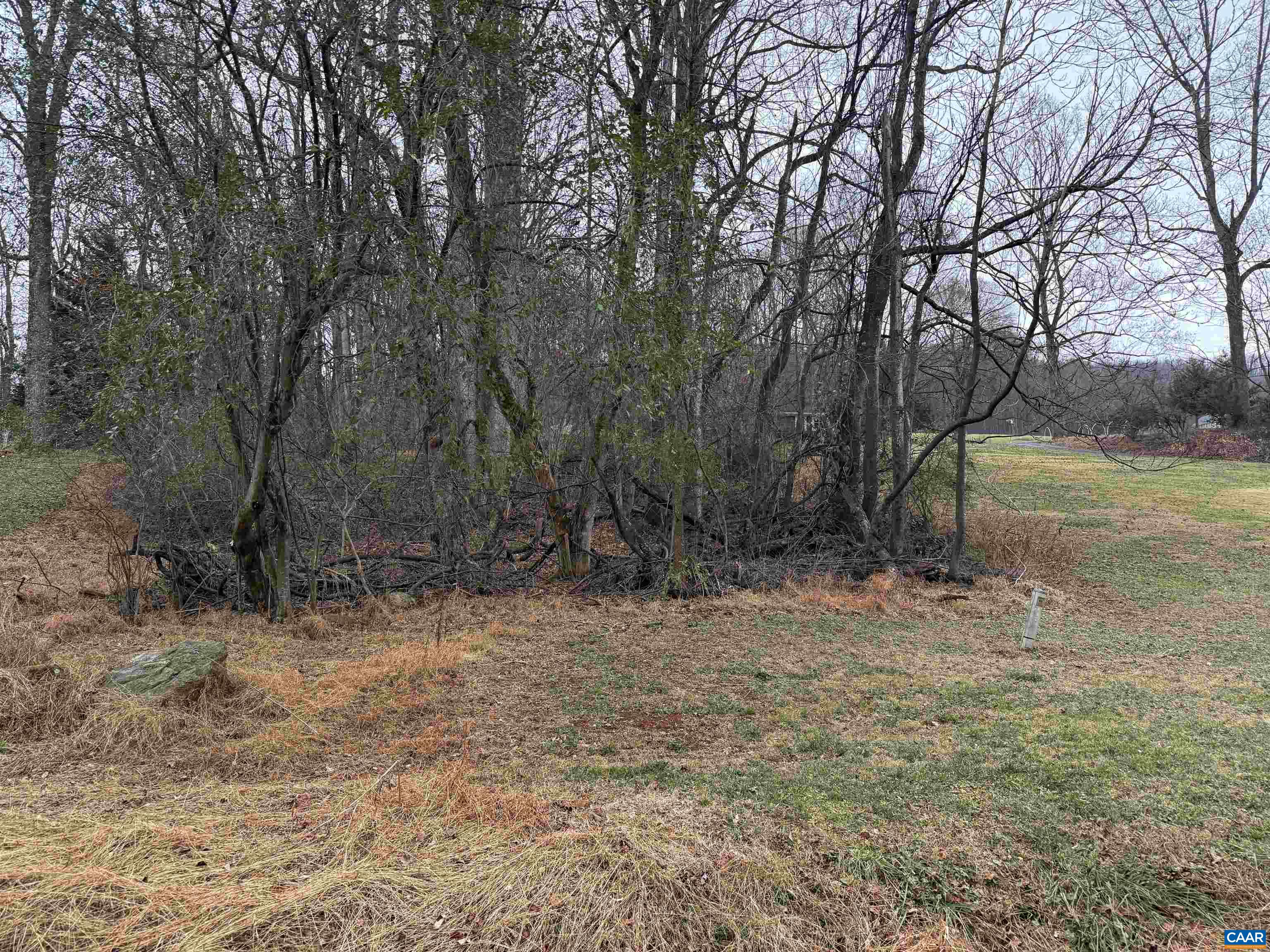 0 ROCKY HOLLOW RD, CHARLOTTESVILLE, Virginia 22911, ,Land,0 ROCKY HOLLOW RD,674761 MLS # 674761