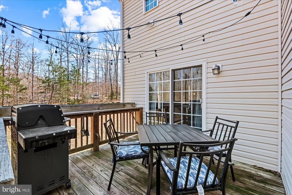 214 CASTLE PARK LN, MINERAL, Virginia 23117, 3 Bedrooms Bedrooms, ,2 BathroomsBathrooms,Residential,214 CASTLE PARK LN,VALA2009426 MLS # VALA2009426