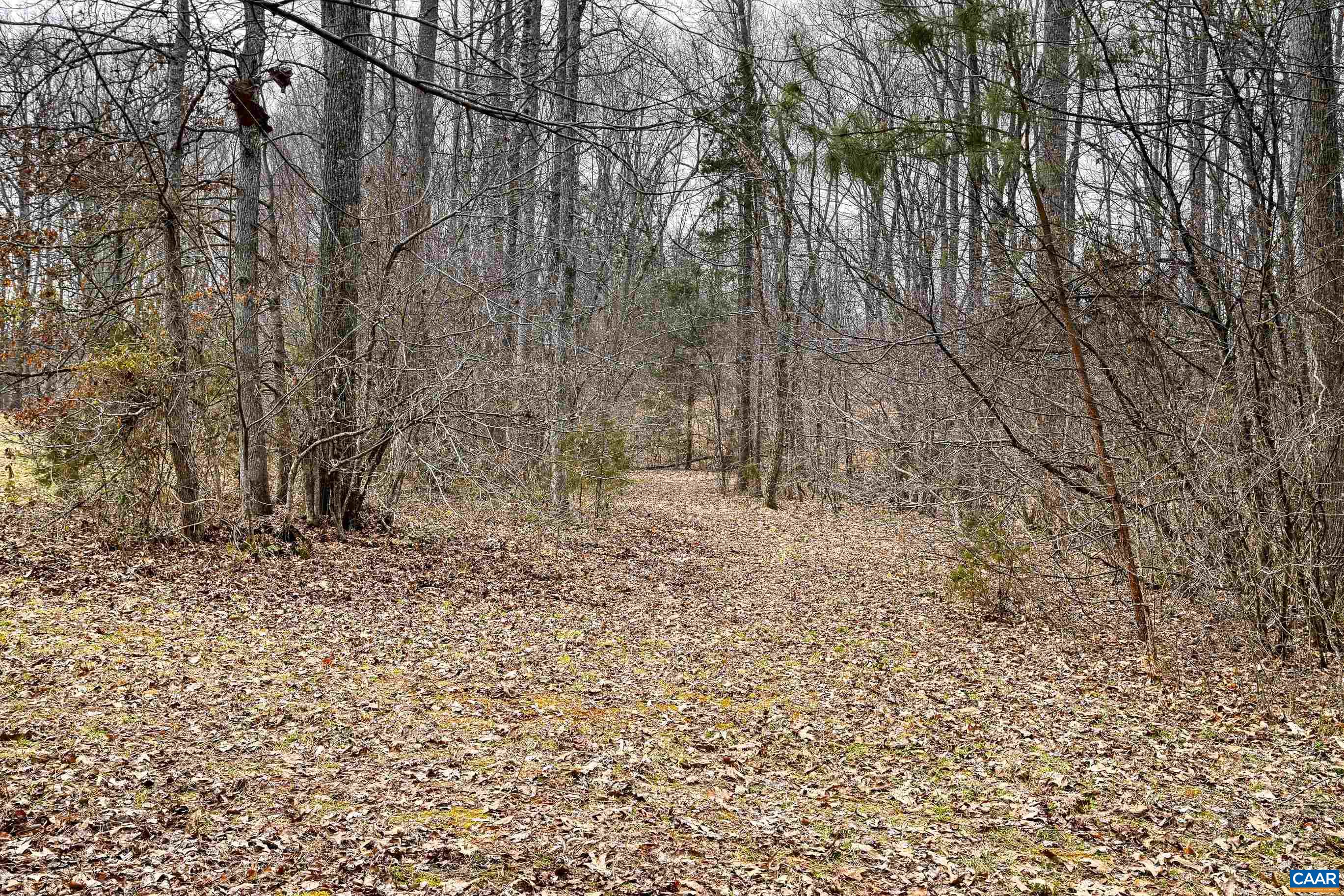 1185 BELLE MEADE RD, BUMPASS, Virginia 23024, 4 Bedrooms Bedrooms, ,3 BathroomsBathrooms,Residential,Private, picturesque, and full of possibility, Bel,1185 BELLE MEADE RD,674750 MLS # 674750