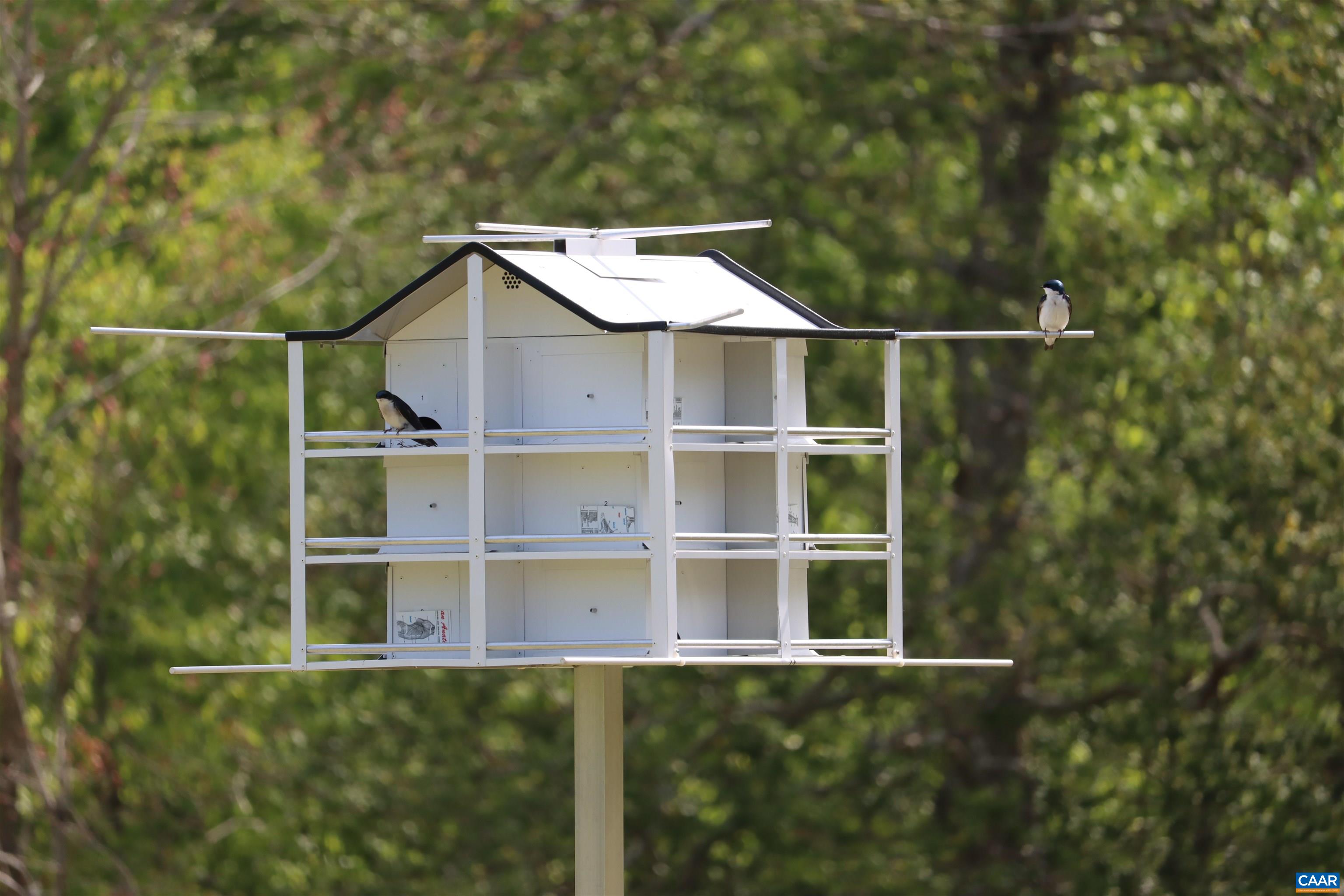 1185 BELLE MEADE RD, BUMPASS, Virginia 23024, 4 Bedrooms Bedrooms, ,3 BathroomsBathrooms,Residential,Private, picturesque, and full of possibility, Bel,1185 BELLE MEADE RD,674750 MLS # 674750