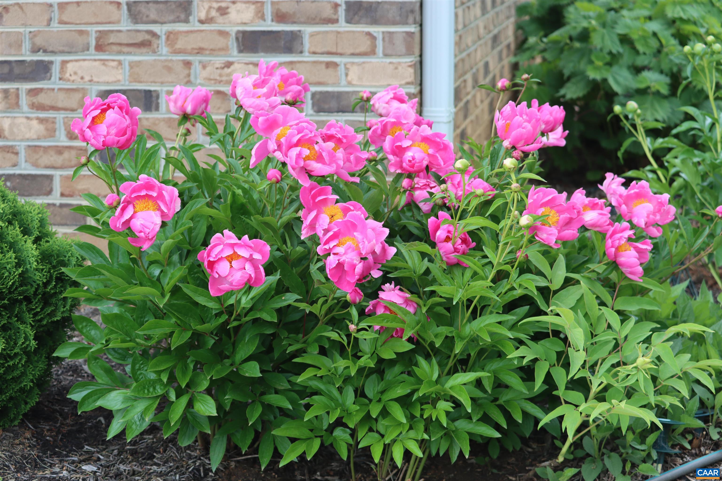 1185 BELLE MEADE RD, BUMPASS, Virginia 23024, 4 Bedrooms Bedrooms, ,3 BathroomsBathrooms,Residential,Private, picturesque, and full of possibility, Bel,1185 BELLE MEADE RD,674750 MLS # 674750