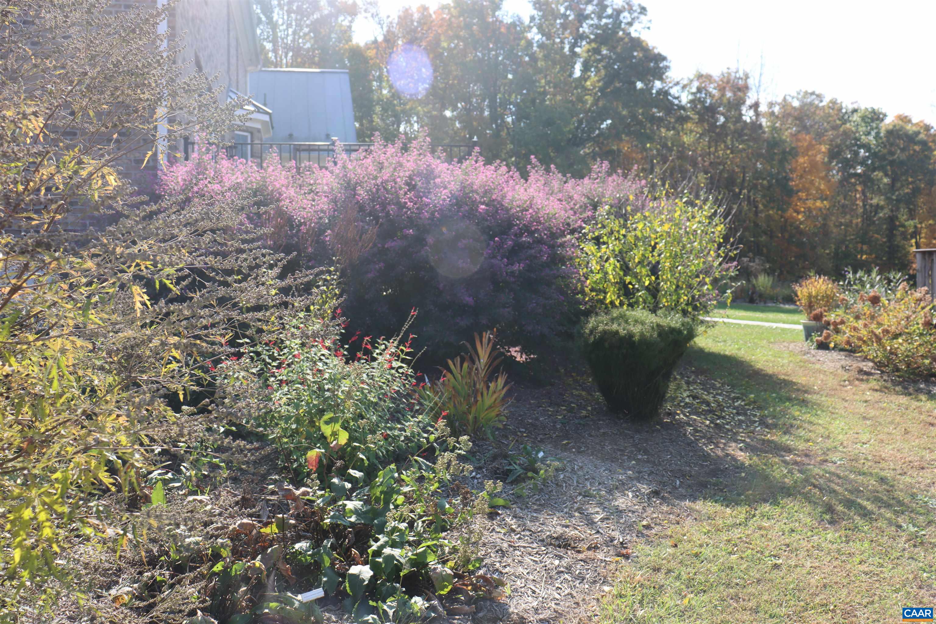 1185 BELLE MEADE RD, BUMPASS, Virginia 23024, 4 Bedrooms Bedrooms, ,3 BathroomsBathrooms,Residential,Private, picturesque, and full of possibility, Bel,1185 BELLE MEADE RD,674750 MLS # 674750