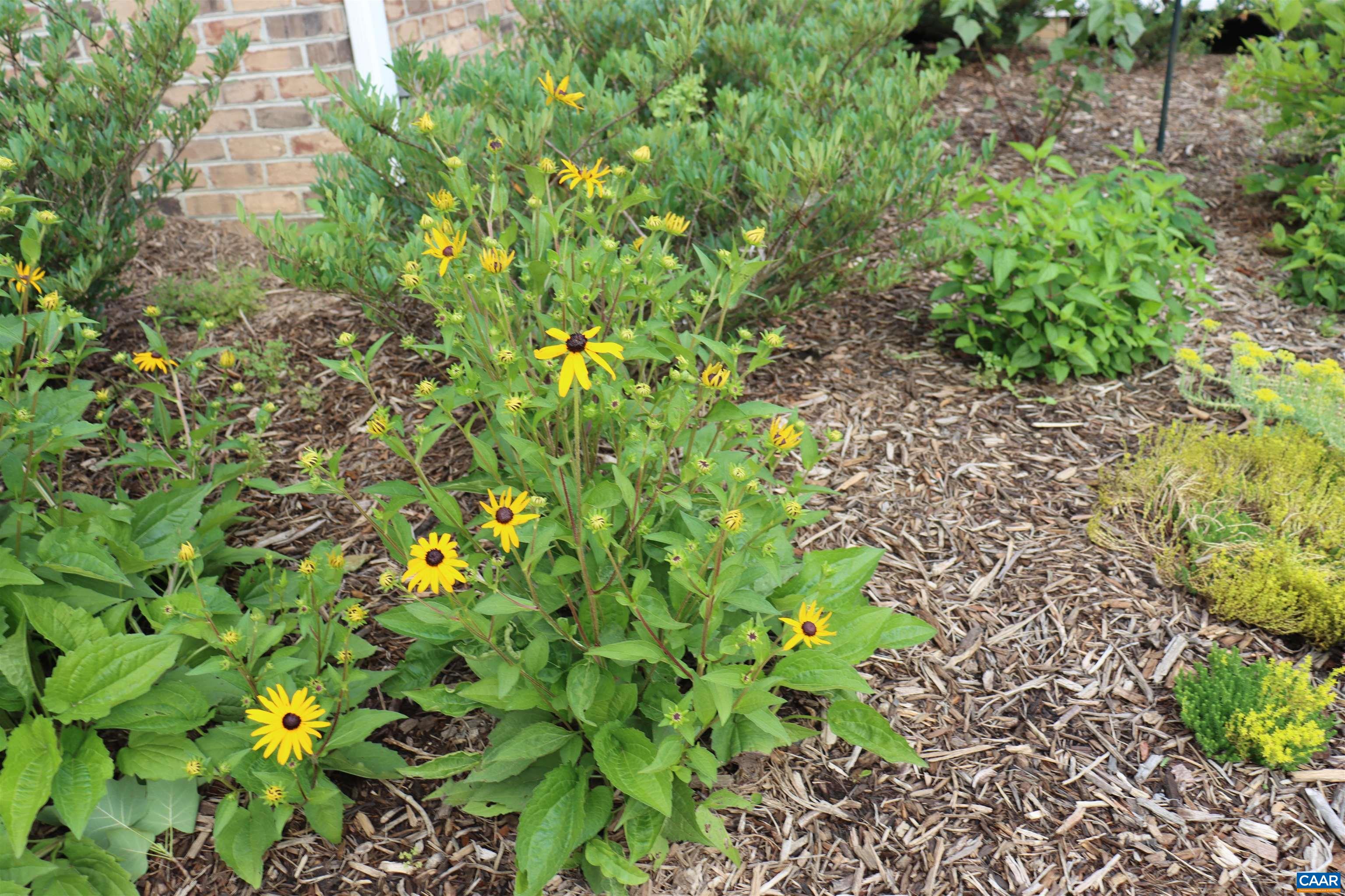 1185 BELLE MEADE RD, BUMPASS, Virginia 23024, 4 Bedrooms Bedrooms, ,3 BathroomsBathrooms,Residential,Private, picturesque, and full of possibility, Bel,1185 BELLE MEADE RD,674750 MLS # 674750