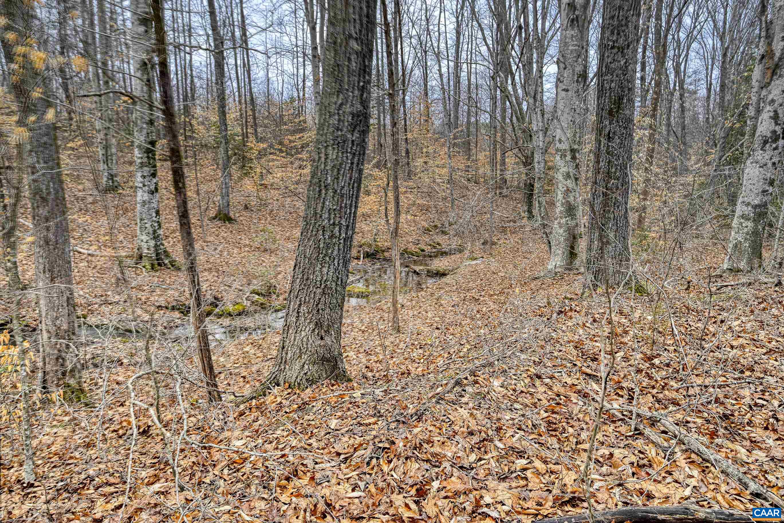 1185 BELLE MEADE RD, BUMPASS, Virginia 23024, 4 Bedrooms Bedrooms, ,3 BathroomsBathrooms,Residential,Private, picturesque, and full of possibility, Bel,1185 BELLE MEADE RD,674750 MLS # 674750