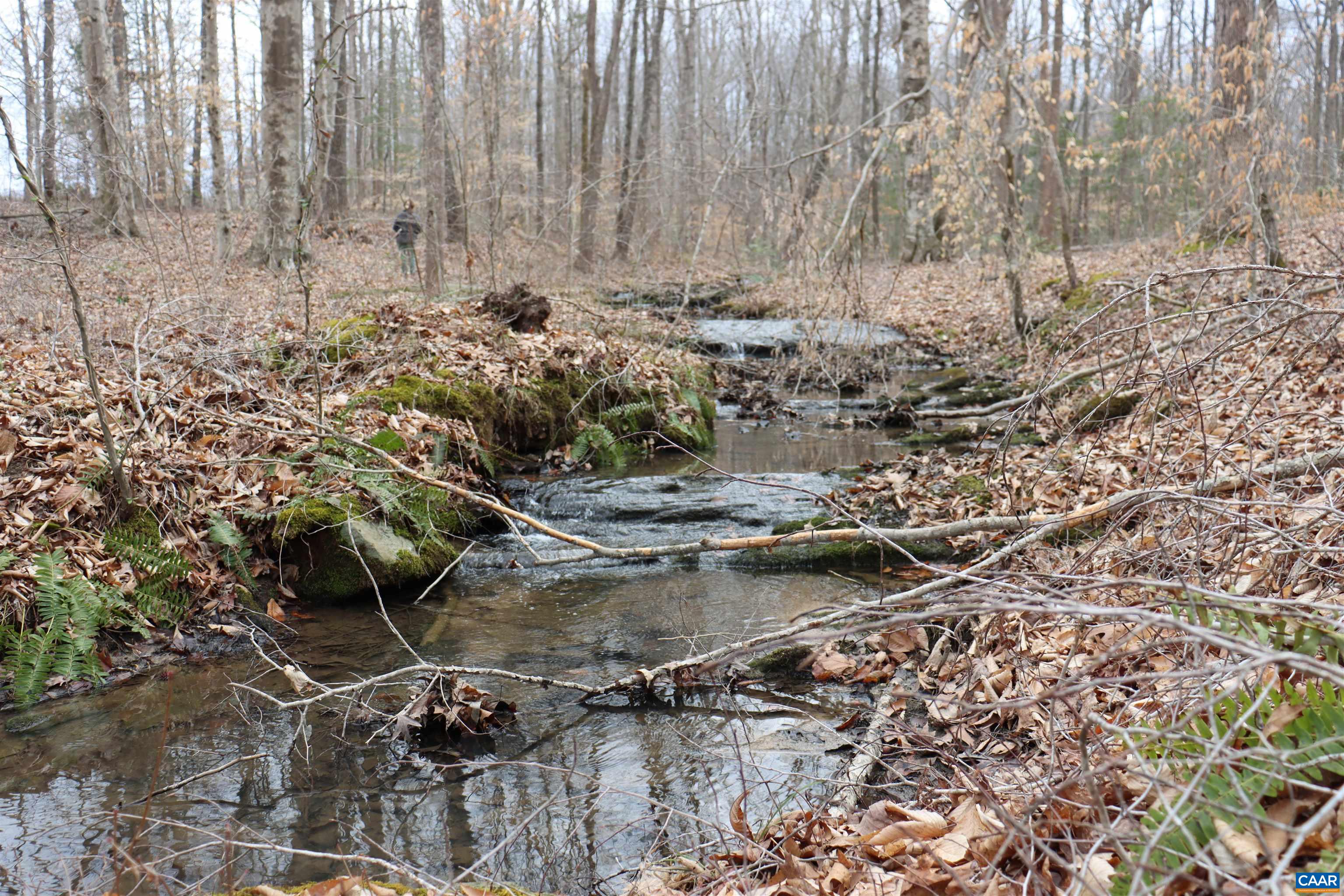 1185 BELLE MEADE RD, BUMPASS, Virginia 23024, 4 Bedrooms Bedrooms, ,3 BathroomsBathrooms,Residential,Private, picturesque, and full of possibility, Bel,1185 BELLE MEADE RD,674750 MLS # 674750