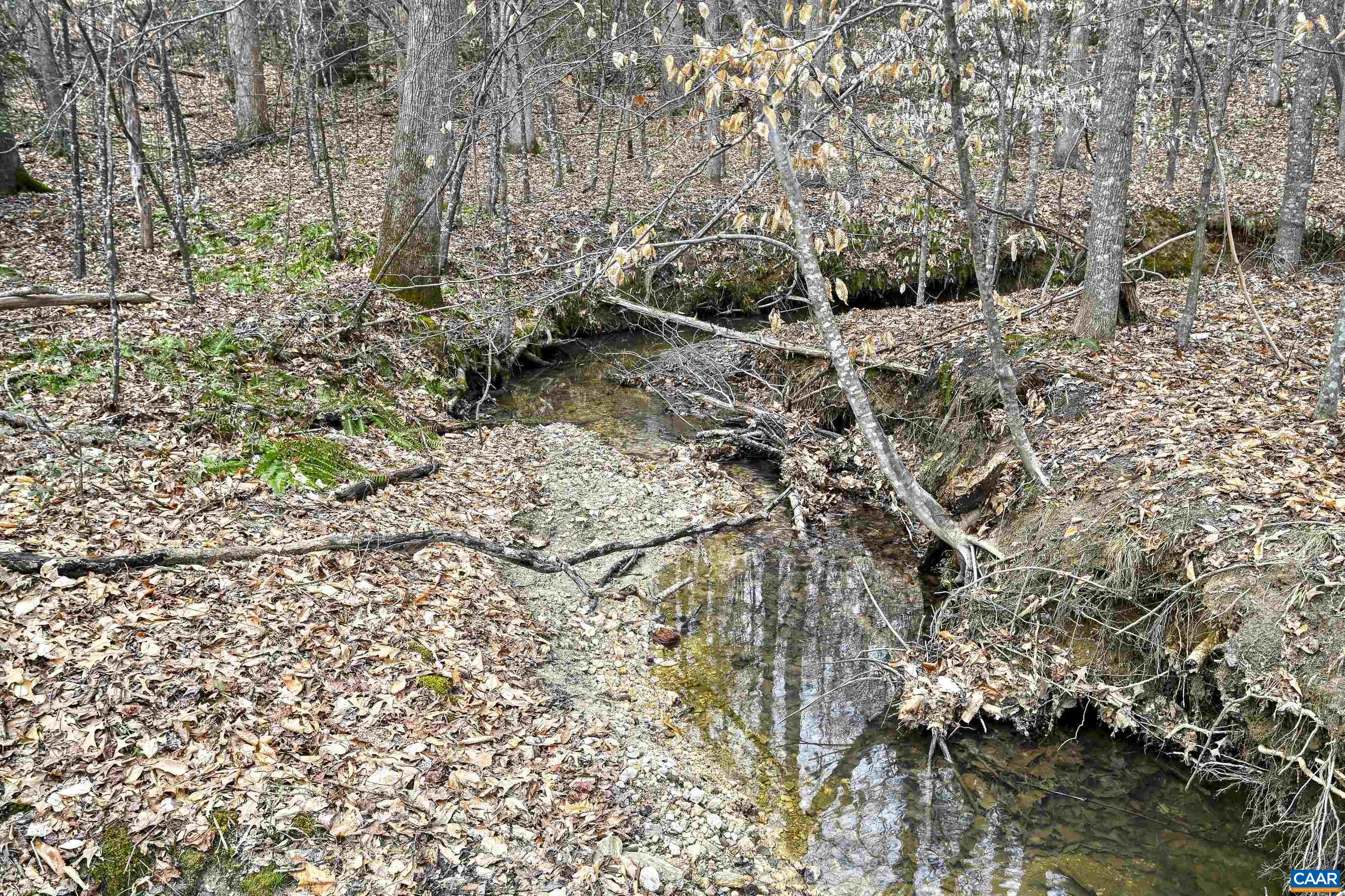 1185 BELLE MEADE RD, BUMPASS, Virginia 23024, 4 Bedrooms Bedrooms, ,3 BathroomsBathrooms,Residential,Private, picturesque, and full of possibility, Bel,1185 BELLE MEADE RD,674750 MLS # 674750