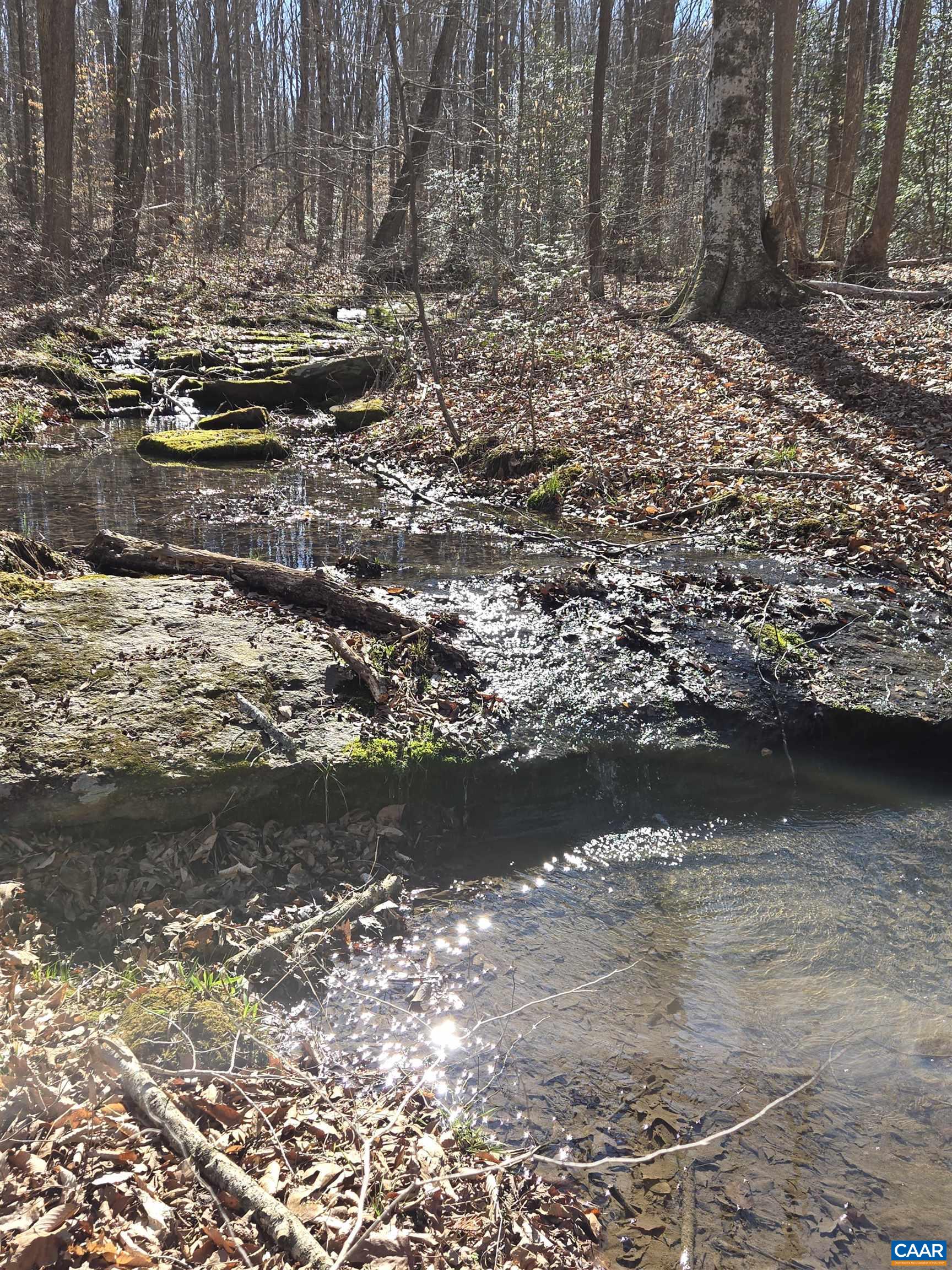 GIS View showing where House is located on the property.