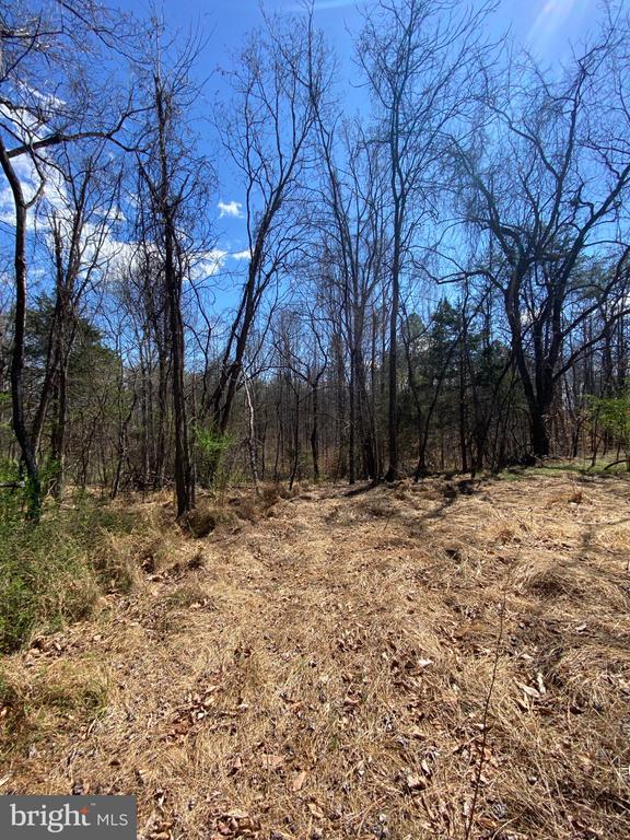 8424 KILBY RD, CULPEPER, Virginia 22701, ,Land,8424 KILBY RD,VACU2013076 MLS # VACU2013076