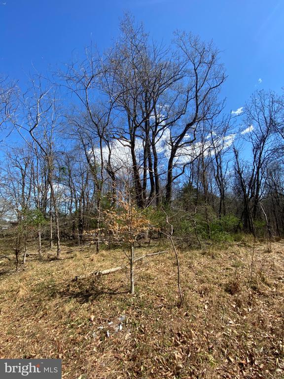 8424 KILBY RD, CULPEPER, Virginia 22701, ,Land,8424 KILBY RD,VACU2013076 MLS # VACU2013076