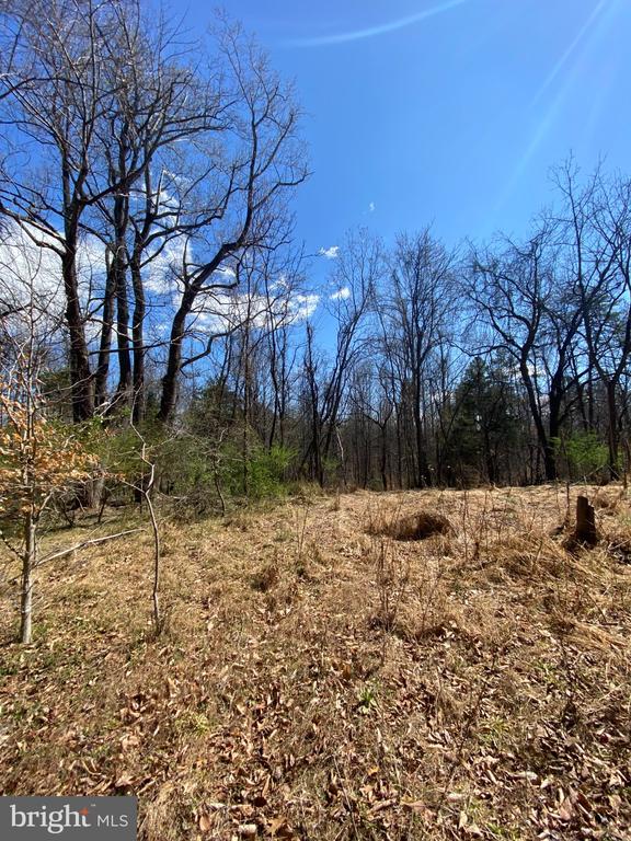 8424 KILBY RD, CULPEPER, Virginia 22701, ,Land,8424 KILBY RD,VACU2013076 MLS # VACU2013076