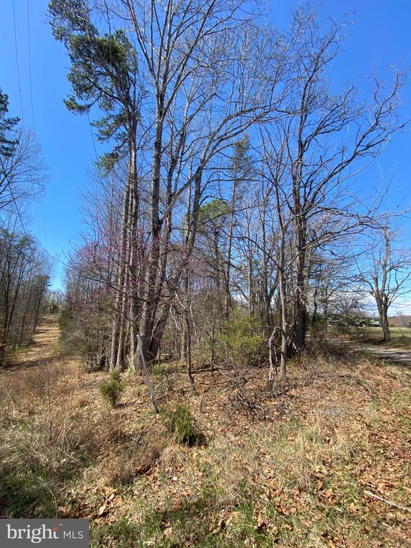 8424 KILBY RD, CULPEPER, Virginia 22701, ,Land,8424 KILBY RD,VACU2013076 MLS # VACU2013076