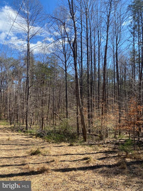 8424 KILBY RD, CULPEPER, Virginia 22701, ,Land,8424 KILBY RD,VACU2013076 MLS # VACU2013076