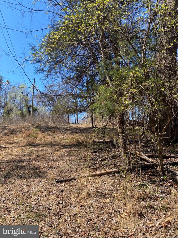 8424 KILBY RD, CULPEPER, Virginia 22701, ,Land,8424 KILBY RD,VACU2013076 MLS # VACU2013076