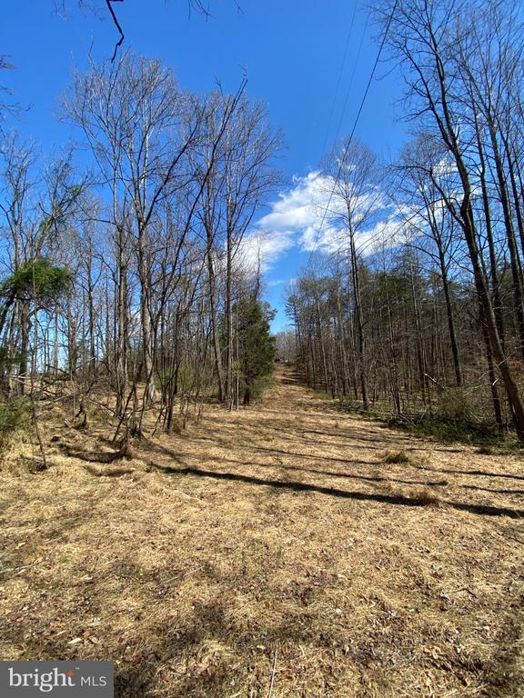 8424 KILBY RD, CULPEPER, Virginia 22701, ,Land,8424 KILBY RD,VACU2013076 MLS # VACU2013076
