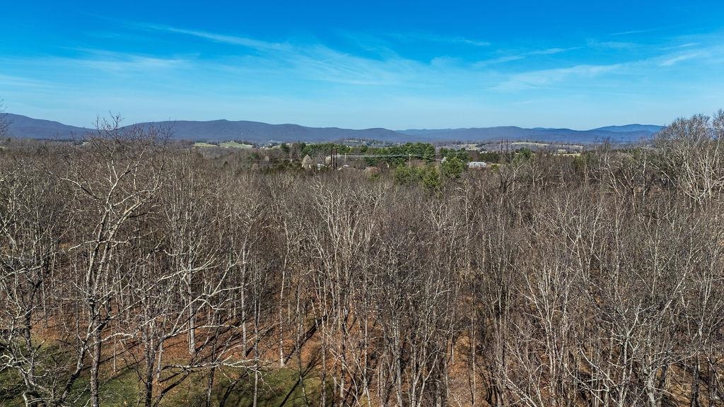Lot 11 FARMINGTON DR, STAUNTON, Virginia 24401, ,Land,Lot 11 FARMINGTON DR,674766 MLS # 674766 Lot 11 FARMINGTON DR, STAUNTON, Virginia 24401, ,Land,Lot 11 FARMINGTON DR,674766 MLS # 674766