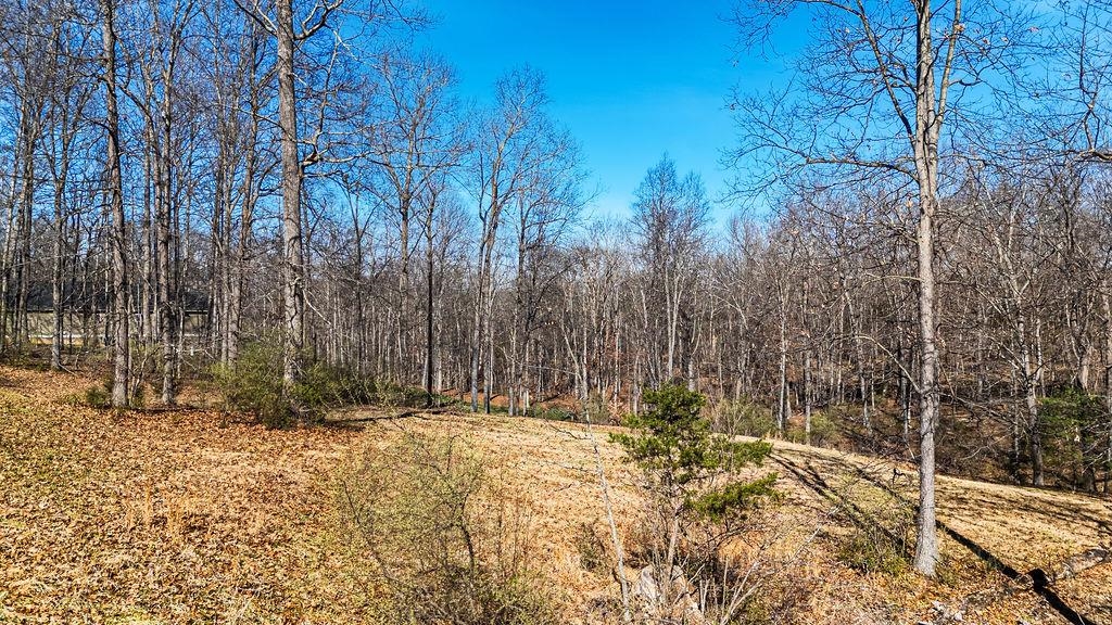 Lot 11 FARMINGTON DR, STAUNTON, Virginia 24401, ,Land,Lot 11 FARMINGTON DR,674766 MLS # 674766 Lot 11 FARMINGTON DR, STAUNTON, Virginia 24401, ,Land,Lot 11 FARMINGTON DR,674766 MLS # 674766