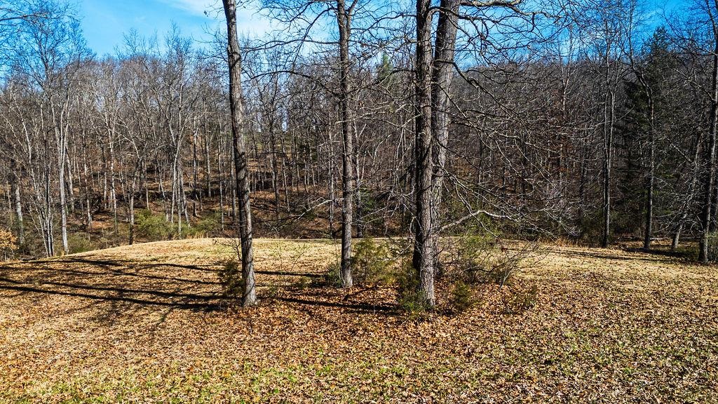 Lot 11 FARMINGTON DR, STAUNTON, Virginia 24401, ,Land,Lot 11 FARMINGTON DR,674766 MLS # 674766 Lot 11 FARMINGTON DR, STAUNTON, Virginia 24401, ,Land,Lot 11 FARMINGTON DR,674766 MLS # 674766