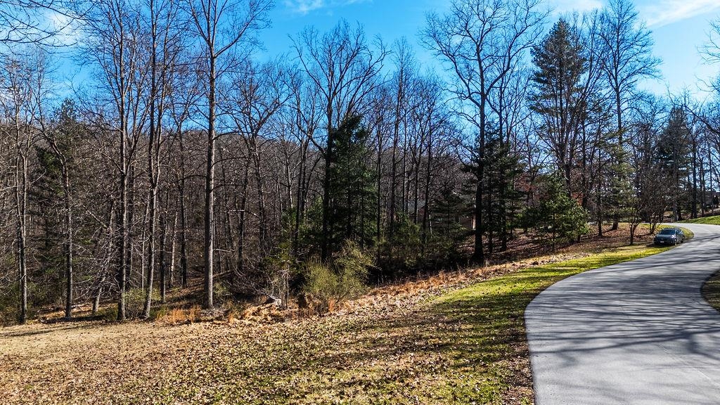 Lot 11 FARMINGTON DR, STAUNTON, Virginia 24401, ,Land,Lot 11 FARMINGTON DR,674766 MLS # 674766 Lot 11 FARMINGTON DR, STAUNTON, Virginia 24401, ,Land,Lot 11 FARMINGTON DR,674766 MLS # 674766