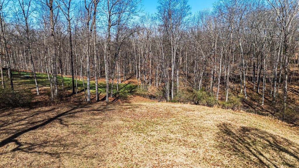 Lot 11 FARMINGTON DR, STAUNTON, Virginia 24401, ,Land,Lot 11 FARMINGTON DR,674766 MLS # 674766 Lot 11 FARMINGTON DR, STAUNTON, Virginia 24401, ,Land,Lot 11 FARMINGTON DR,674766 MLS # 674766