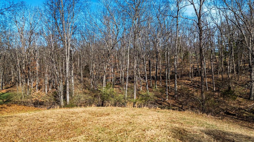 Lot 11 FARMINGTON DR, STAUNTON, Virginia 24401, ,Land,Lot 11 FARMINGTON DR,674766 MLS # 674766 Lot 11 FARMINGTON DR, STAUNTON, Virginia 24401, ,Land,Lot 11 FARMINGTON DR,674766 MLS # 674766