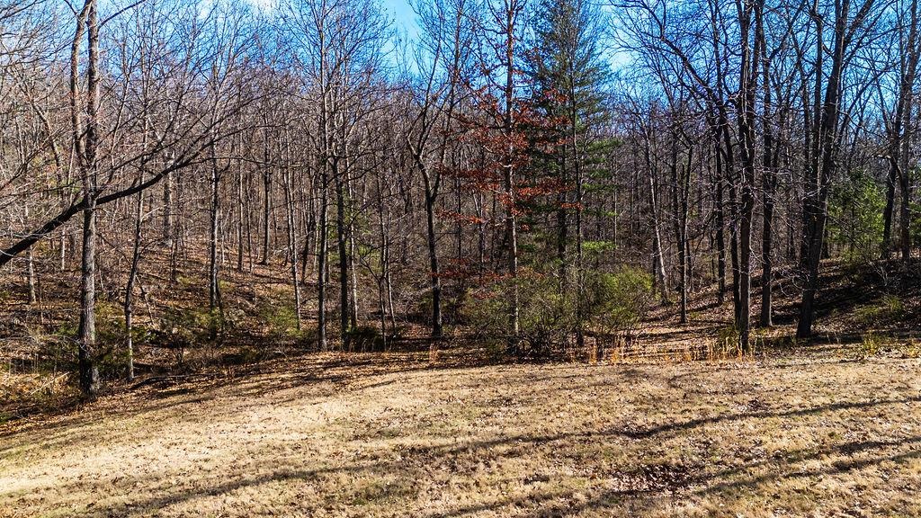 Lot 11 FARMINGTON DR, STAUNTON, Virginia 24401, ,Land,Lot 11 FARMINGTON DR,674766 MLS # 674766 Lot 11 FARMINGTON DR, STAUNTON, Virginia 24401, ,Land,Lot 11 FARMINGTON DR,674766 MLS # 674766