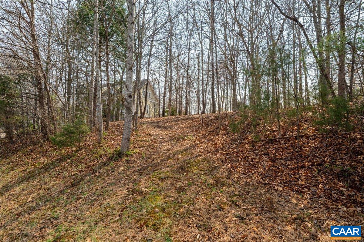 168 CEDAR GLEN CLOSE, NELLYSFORD, Virginia 22958, ,Land,168 CEDAR GLEN CLOSE,674769 MLS # 674769