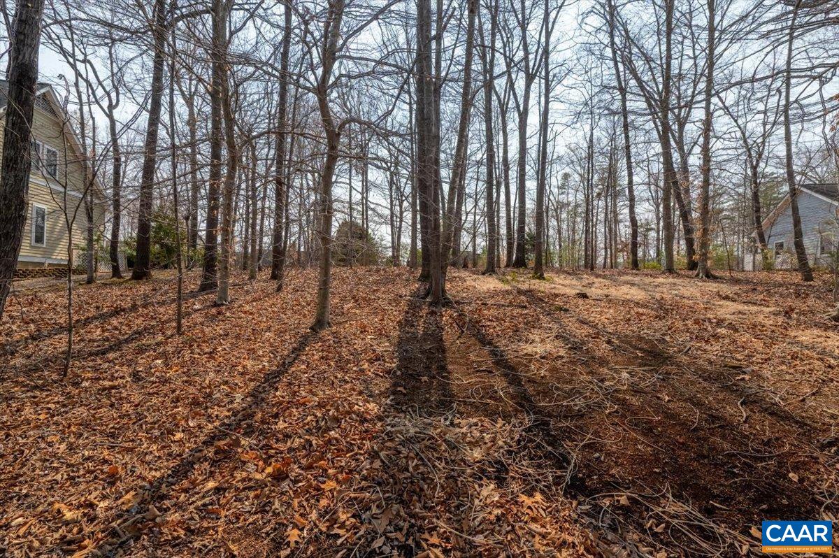 168 CEDAR GLEN CLOSE, NELLYSFORD, Virginia 22958, ,Land,168 CEDAR GLEN CLOSE,674769 MLS # 674769