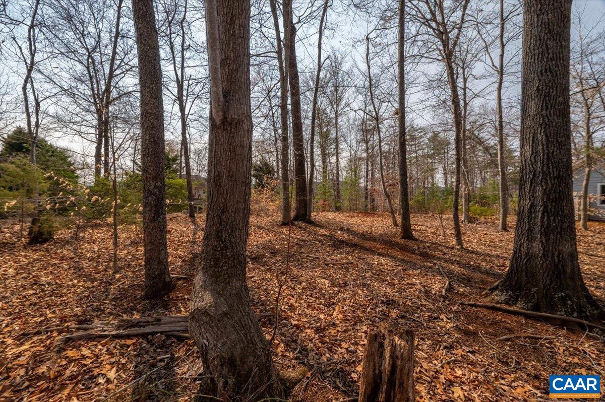 168 CEDAR GLEN CLOSE, NELLYSFORD, Virginia 22958, ,Land,168 CEDAR GLEN CLOSE,674769 MLS # 674769