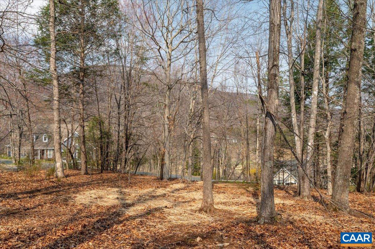 168 CEDAR GLEN CLOSE, NELLYSFORD, Virginia 22958, ,Land,168 CEDAR GLEN CLOSE,674769 MLS # 674769