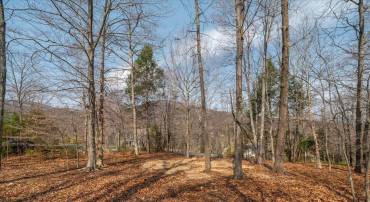 168 CEDAR GLEN CLOSE, NELLYSFORD, Virginia 22958, ,Land,168 CEDAR GLEN CLOSE,674769 MLS # 674769