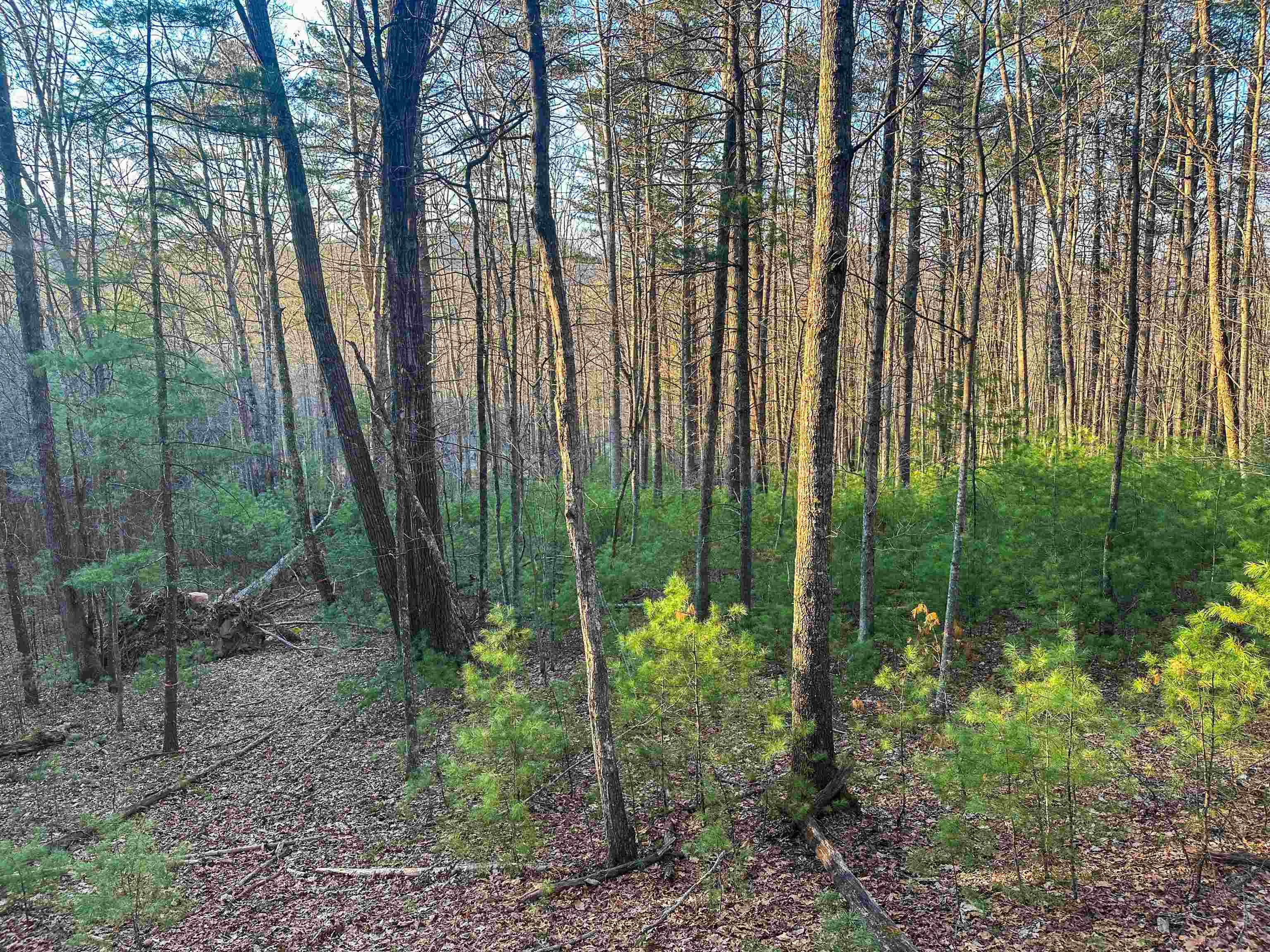 4358 DEERFIELD VALLEY RD, DEERFIELD, Virginia 24432, ,Land,4358 DEERFIELD VALLEY RD,674776 MLS # 674776