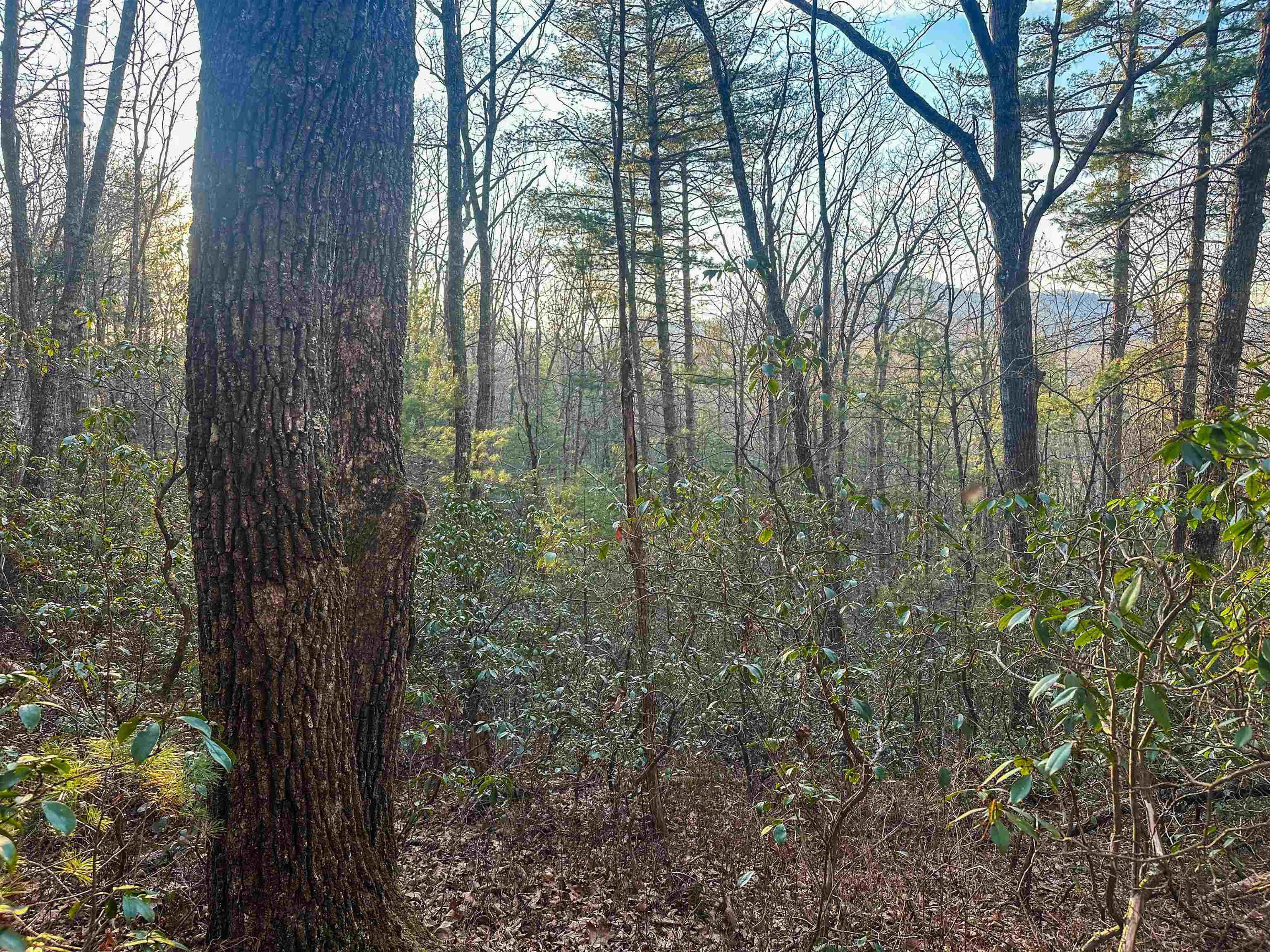 4358 DEERFIELD VALLEY RD, DEERFIELD, Virginia 24432, ,Land,4358 DEERFIELD VALLEY RD,674776 MLS # 674776