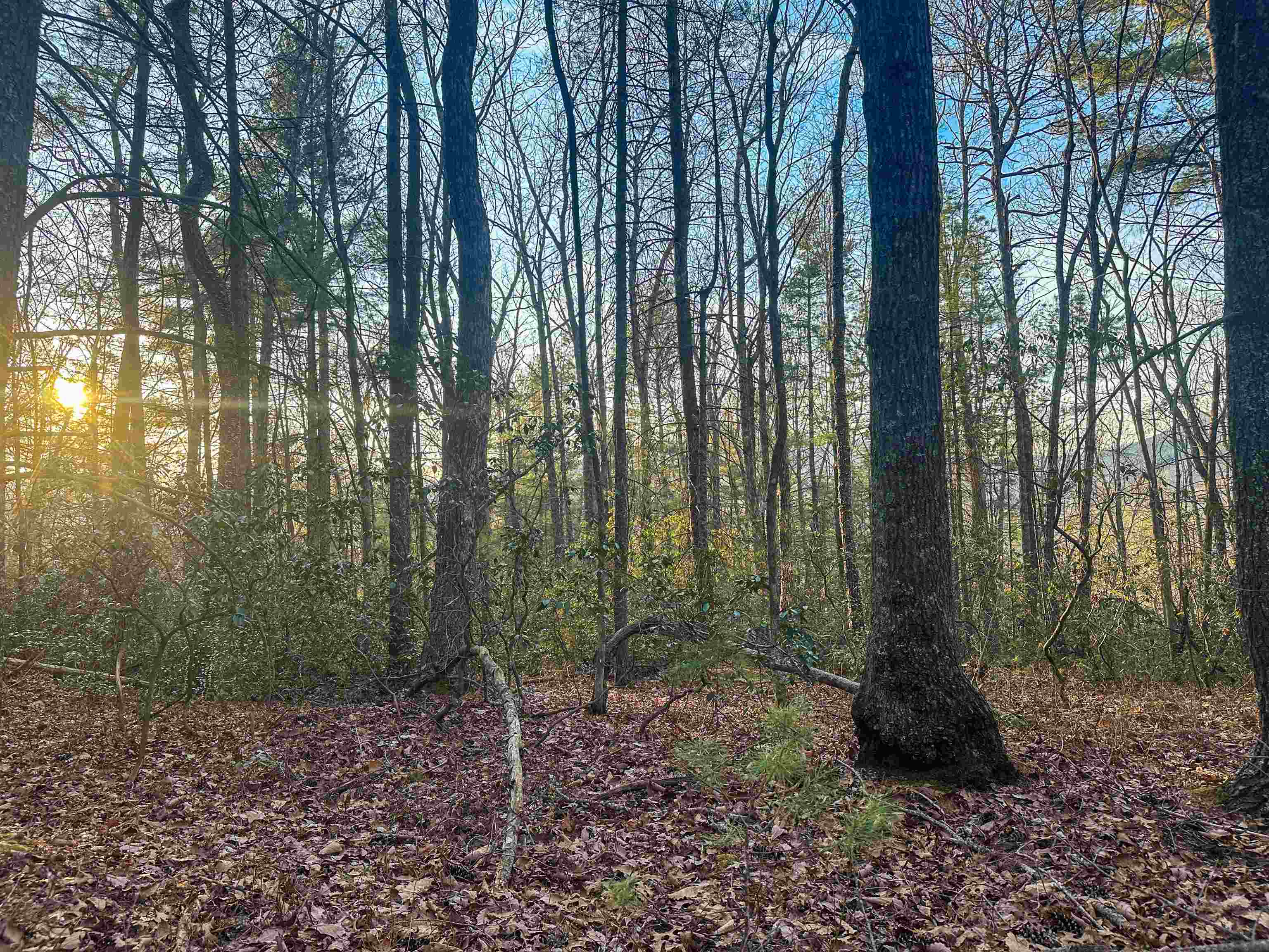 4358 DEERFIELD VALLEY RD, DEERFIELD, Virginia 24432, ,Land,4358 DEERFIELD VALLEY RD,674776 MLS # 674776