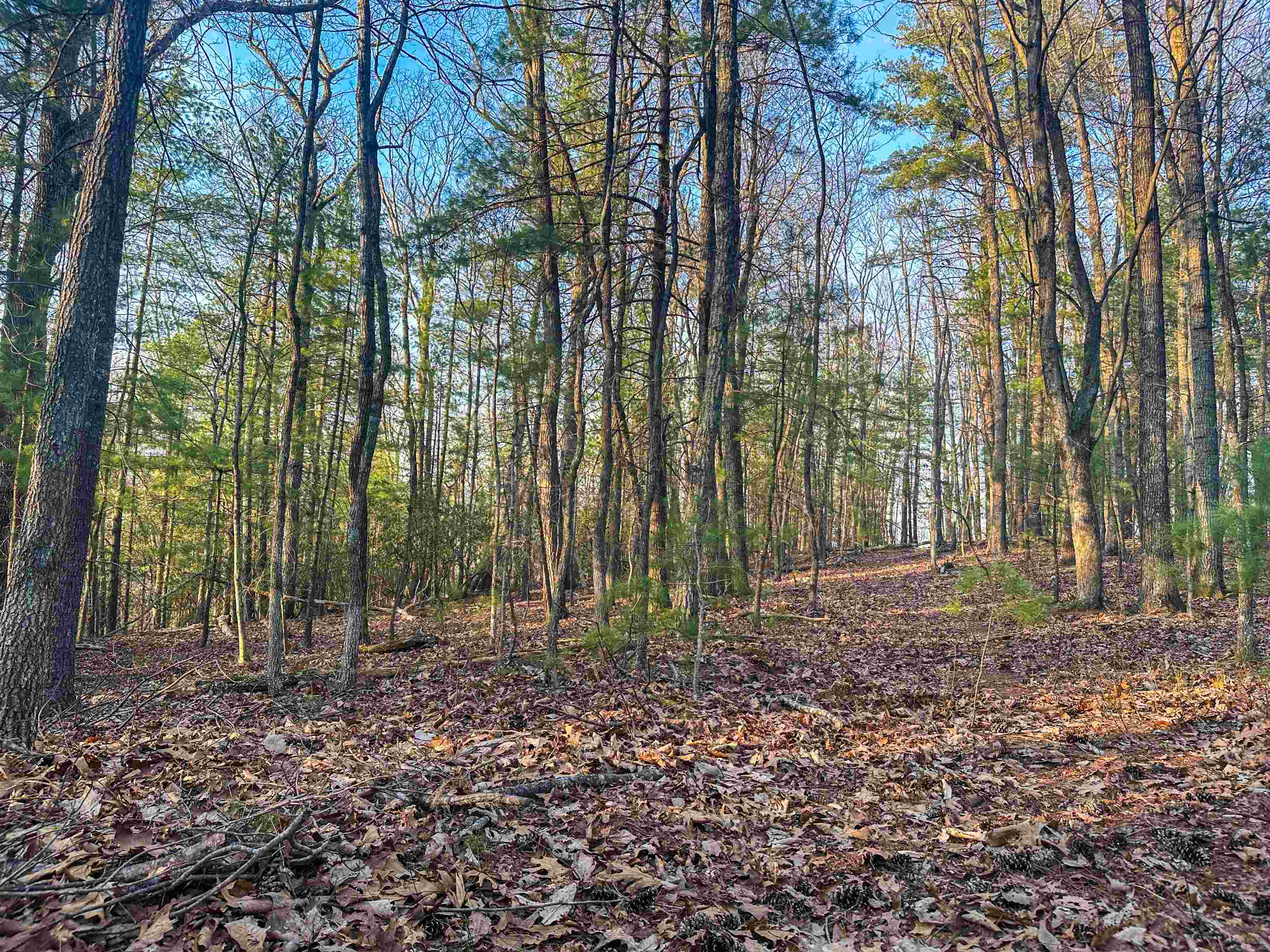 4358 DEERFIELD VALLEY RD, DEERFIELD, Virginia 24432, ,Land,4358 DEERFIELD VALLEY RD,674776 MLS # 674776