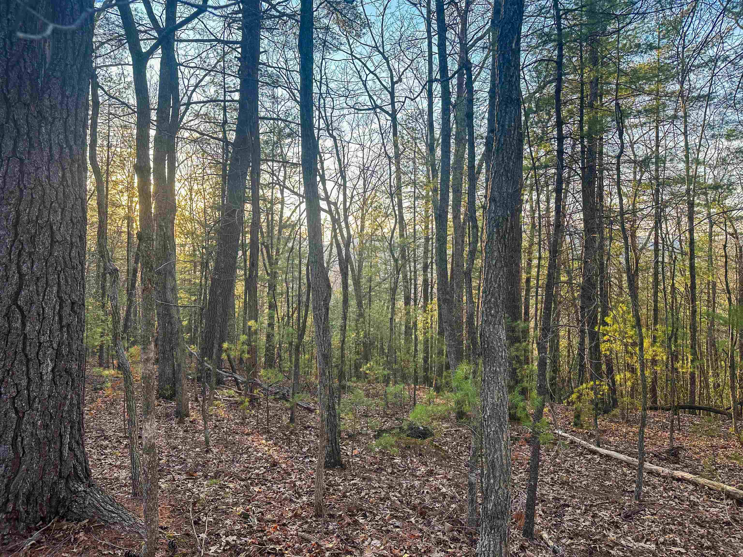 4358 DEERFIELD VALLEY RD, DEERFIELD, Virginia 24432, ,Land,4358 DEERFIELD VALLEY RD,674776 MLS # 674776