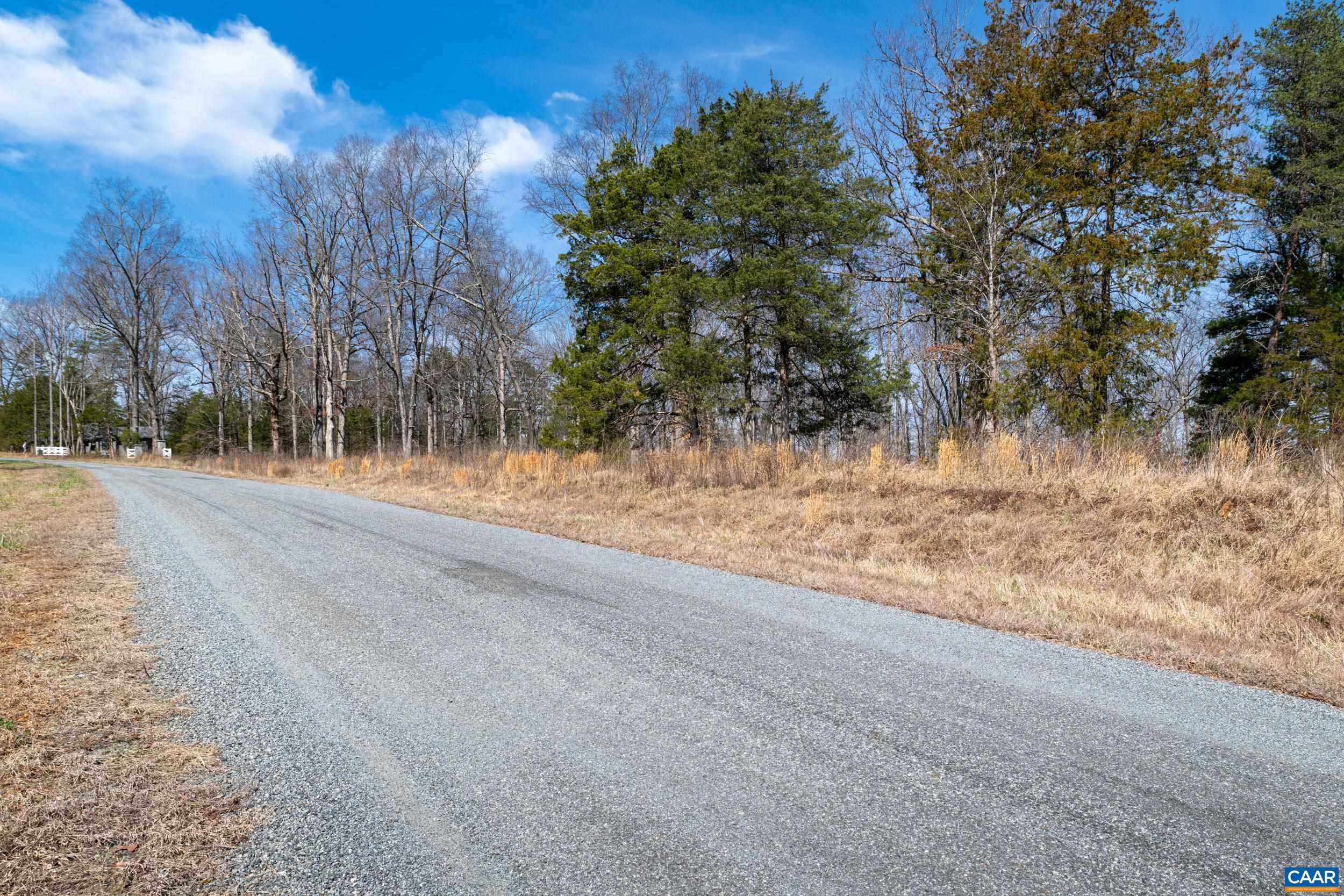 0 NARROWS WAY, RUCKERSVILLE, Virginia 22968, ,Land,0 NARROWS WAY,674782 MLS # 674782 0 NARROWS WAY, RUCKERSVILLE, Virginia 22968, ,Land,0 NARROWS WAY,674782 MLS # 674782