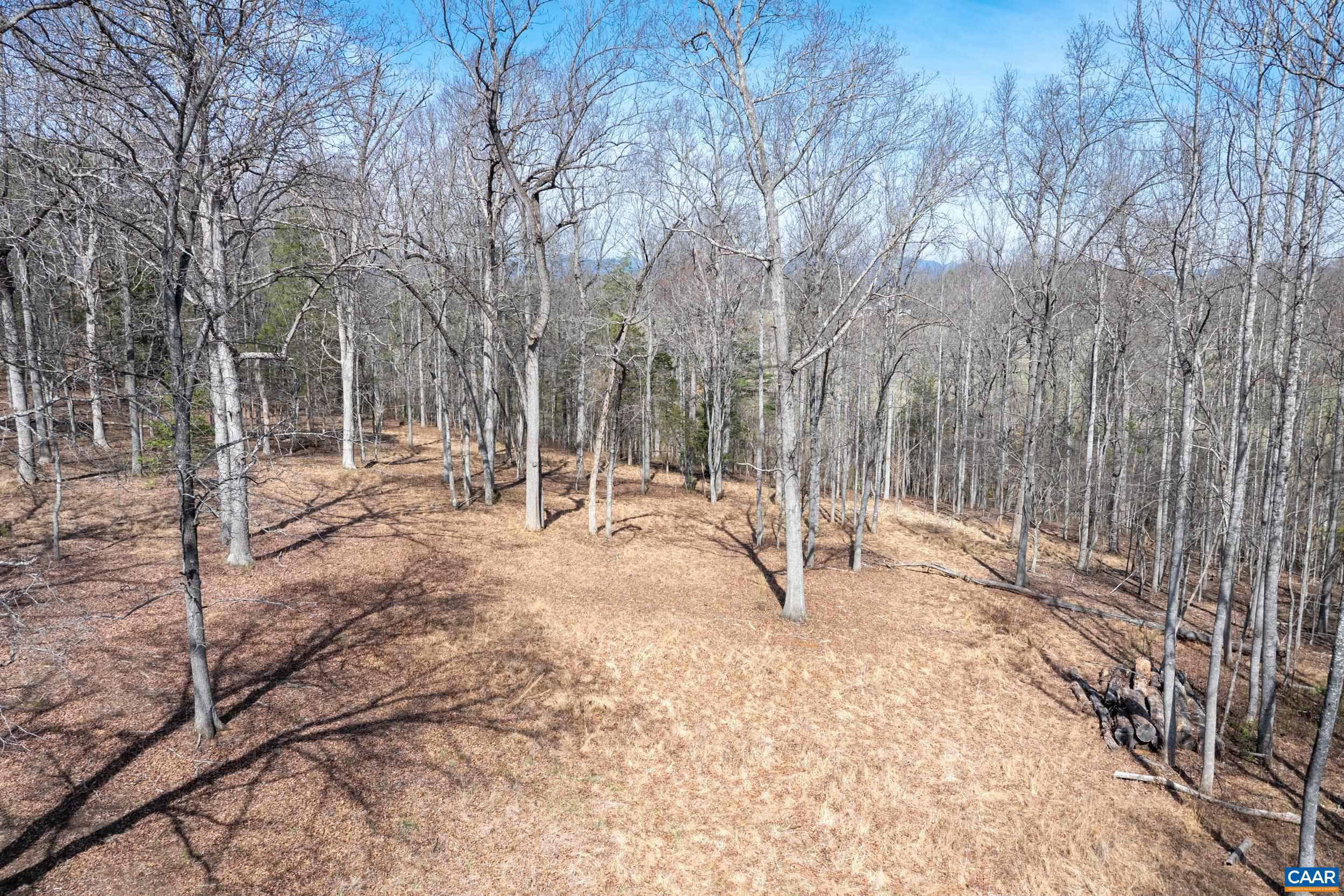 0 NARROWS WAY, RUCKERSVILLE, Virginia 22968, ,Land,0 NARROWS WAY,674782 MLS # 674782 0 NARROWS WAY, RUCKERSVILLE, Virginia 22968, ,Land,0 NARROWS WAY,674782 MLS # 674782