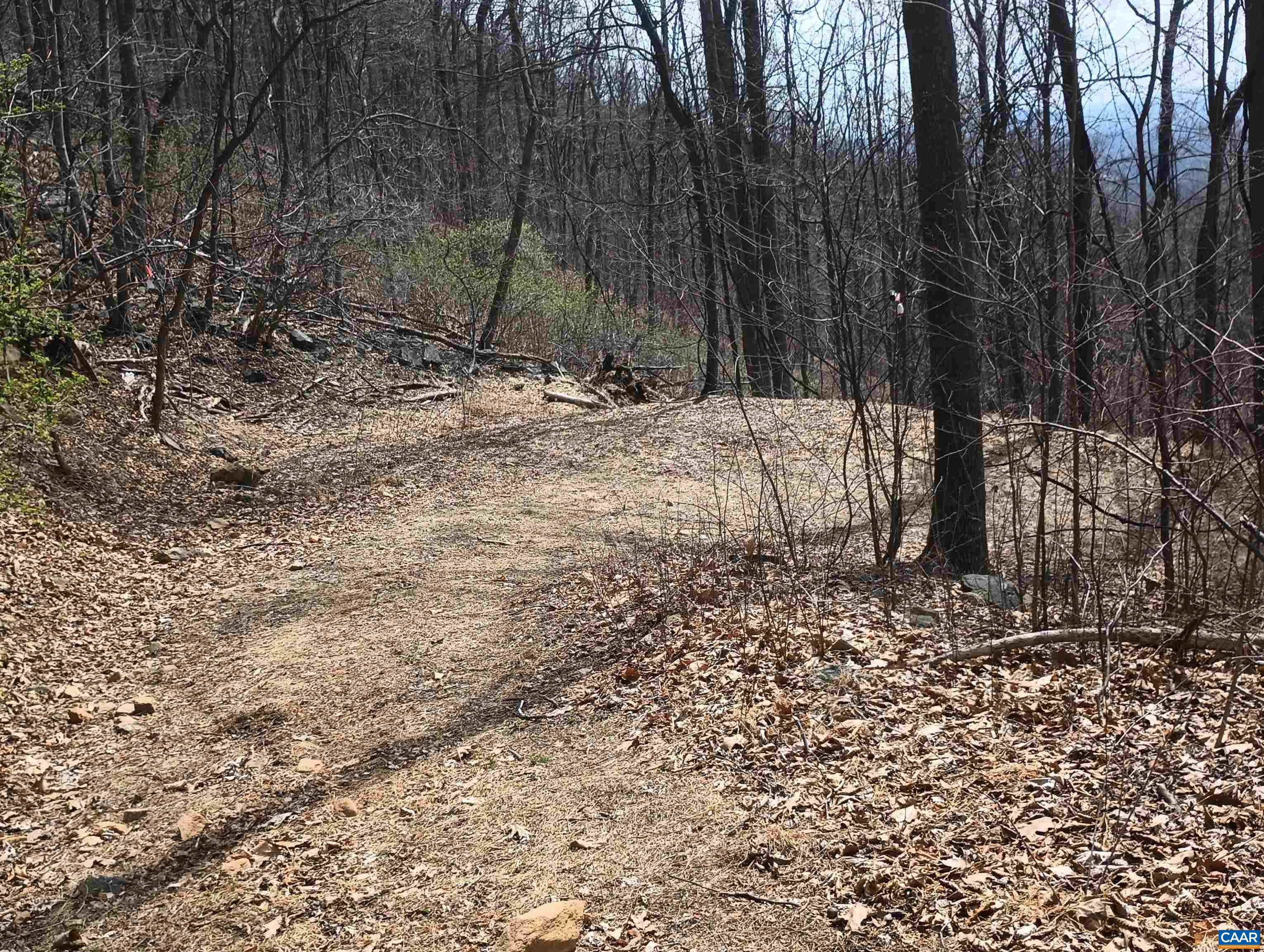 1215 BATTERY HILL LN, TYRO, Virginia 22976, ,Land,1215 BATTERY HILL LN,674797 MLS # 674797