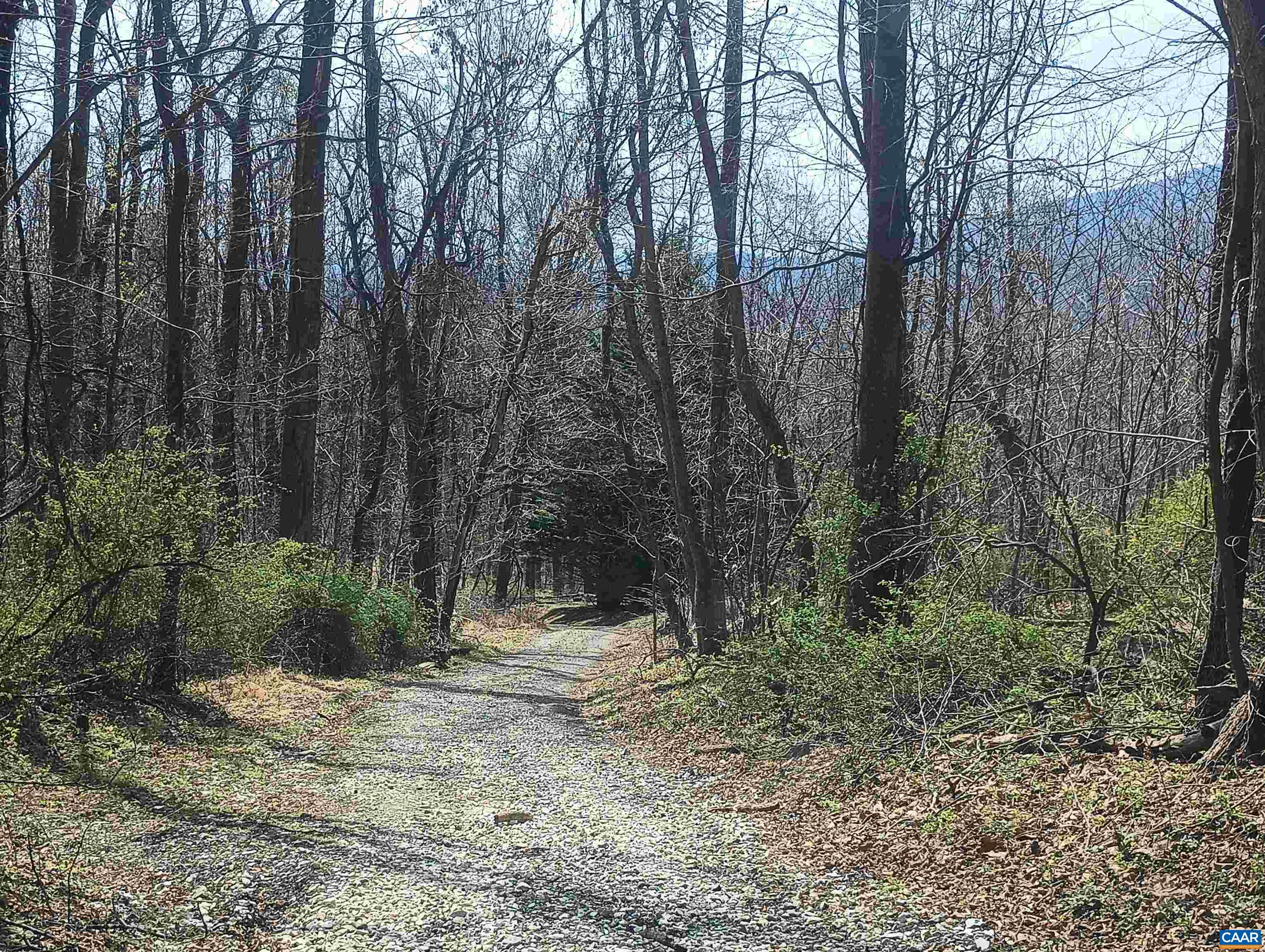 1215 BATTERY HILL LN, TYRO, Virginia 22976, ,Land,1215 BATTERY HILL LN,674797 MLS # 674797