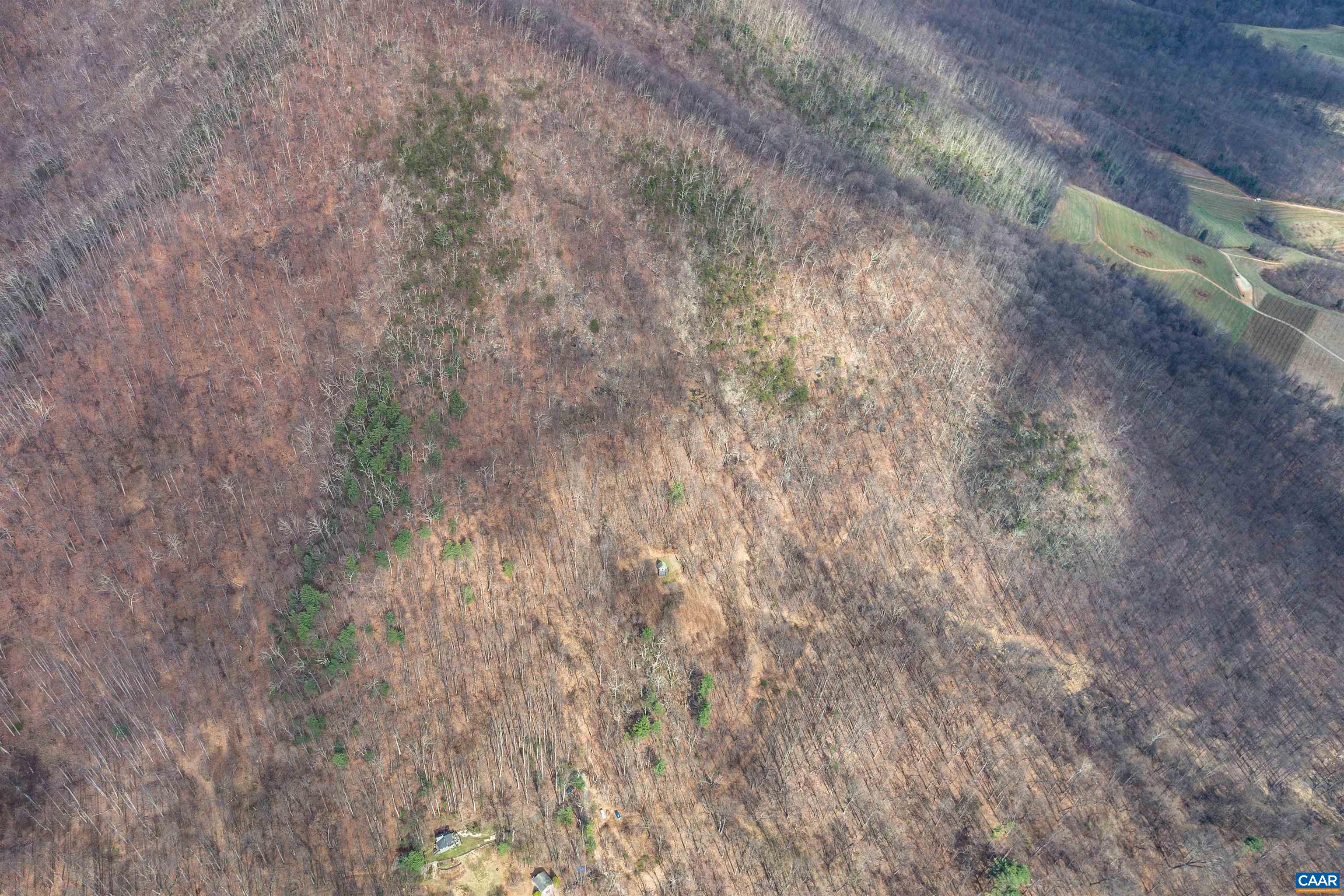 1215 BATTERY HILL LN, TYRO, Virginia 22976, ,Land,1215 BATTERY HILL LN,674797 MLS # 674797