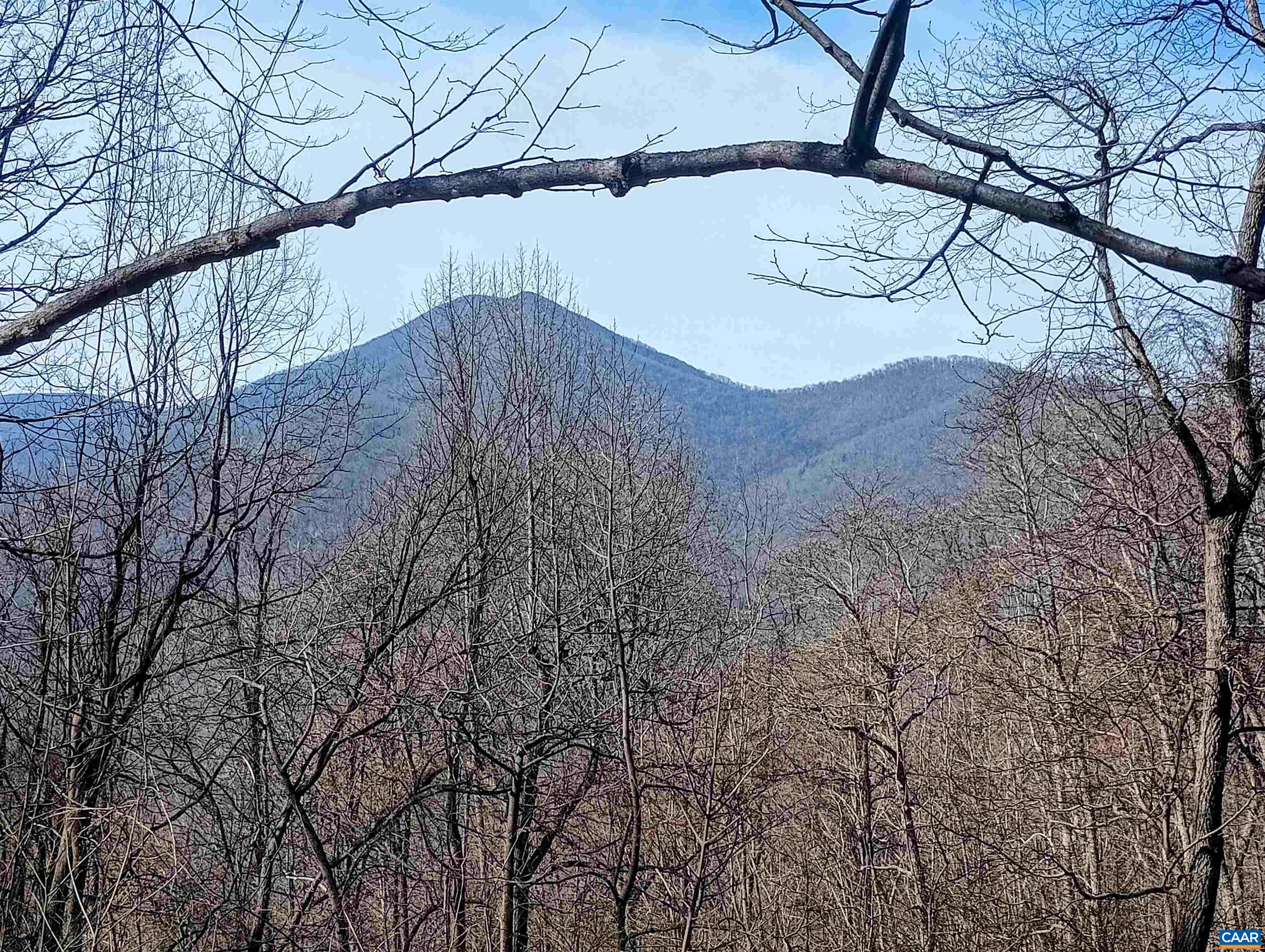 1215 BATTERY HILL LN, TYRO, Virginia 22976, ,Land,1215 BATTERY HILL LN,674797 MLS # 674797