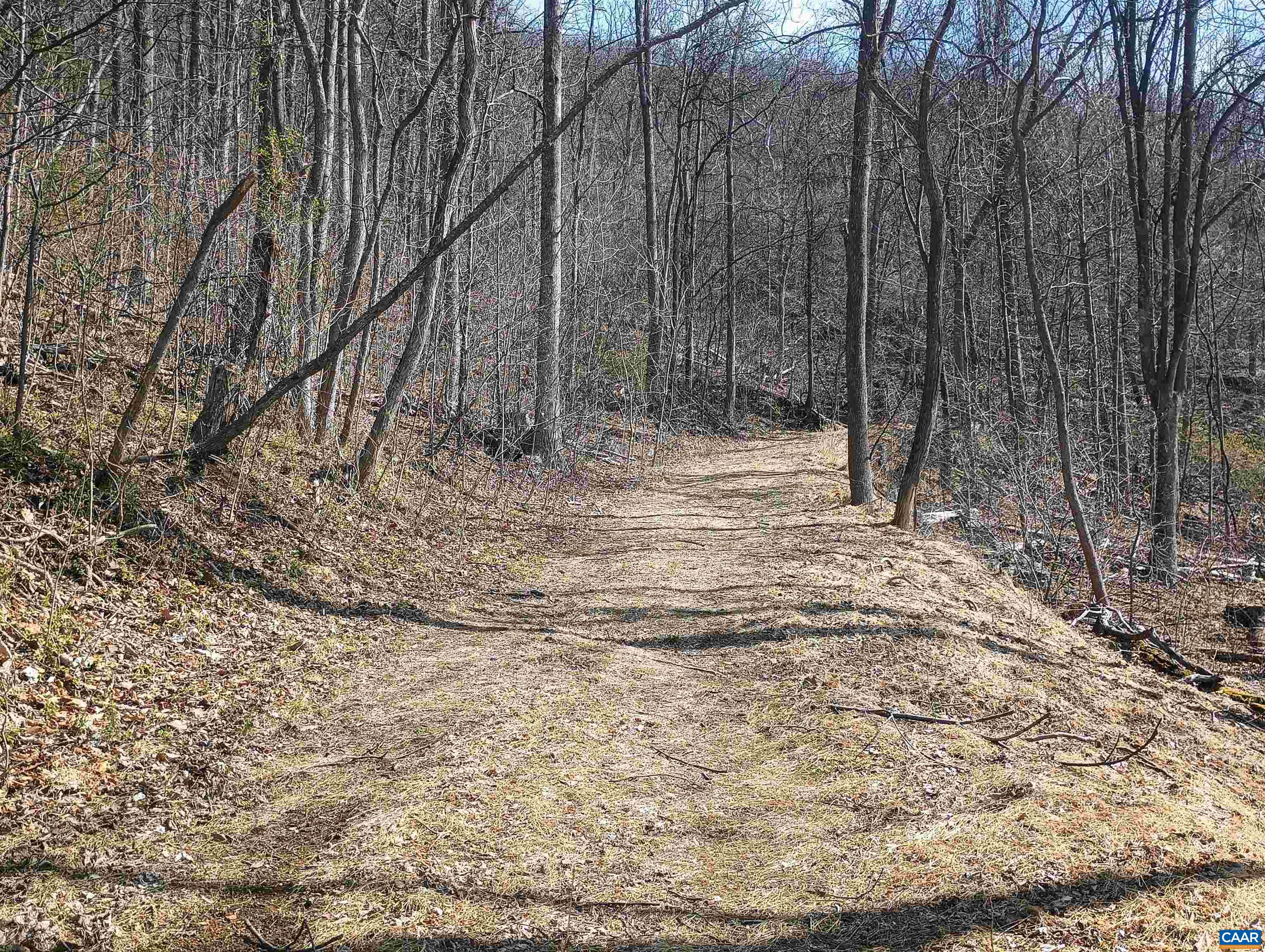 1215 BATTERY HILL LN, TYRO, Virginia 22976, ,Land,1215 BATTERY HILL LN,674797 MLS # 674797