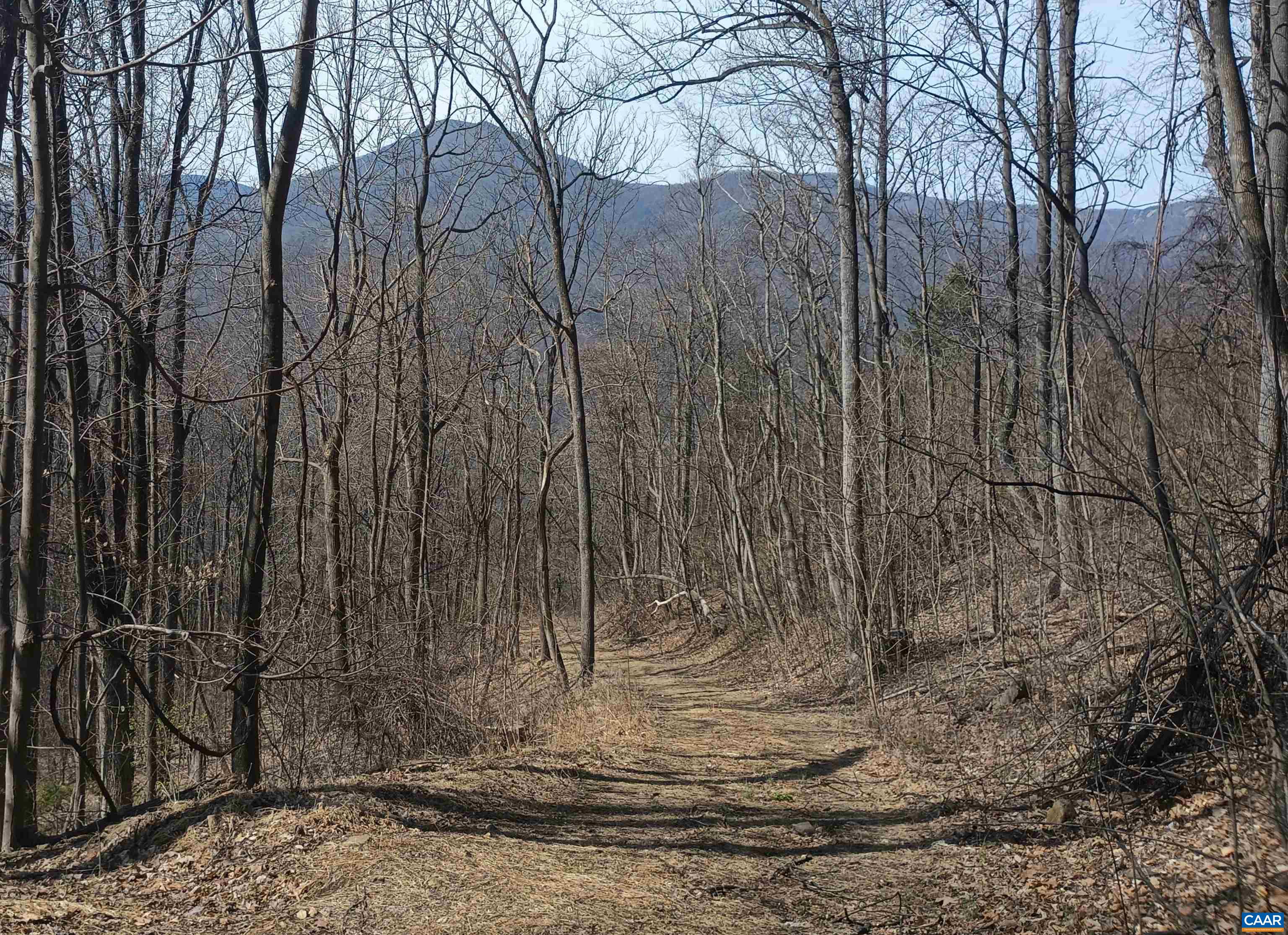 1215 BATTERY HILL LN, TYRO, Virginia 22976, ,Land,1215 BATTERY HILL LN,674797 MLS # 674797