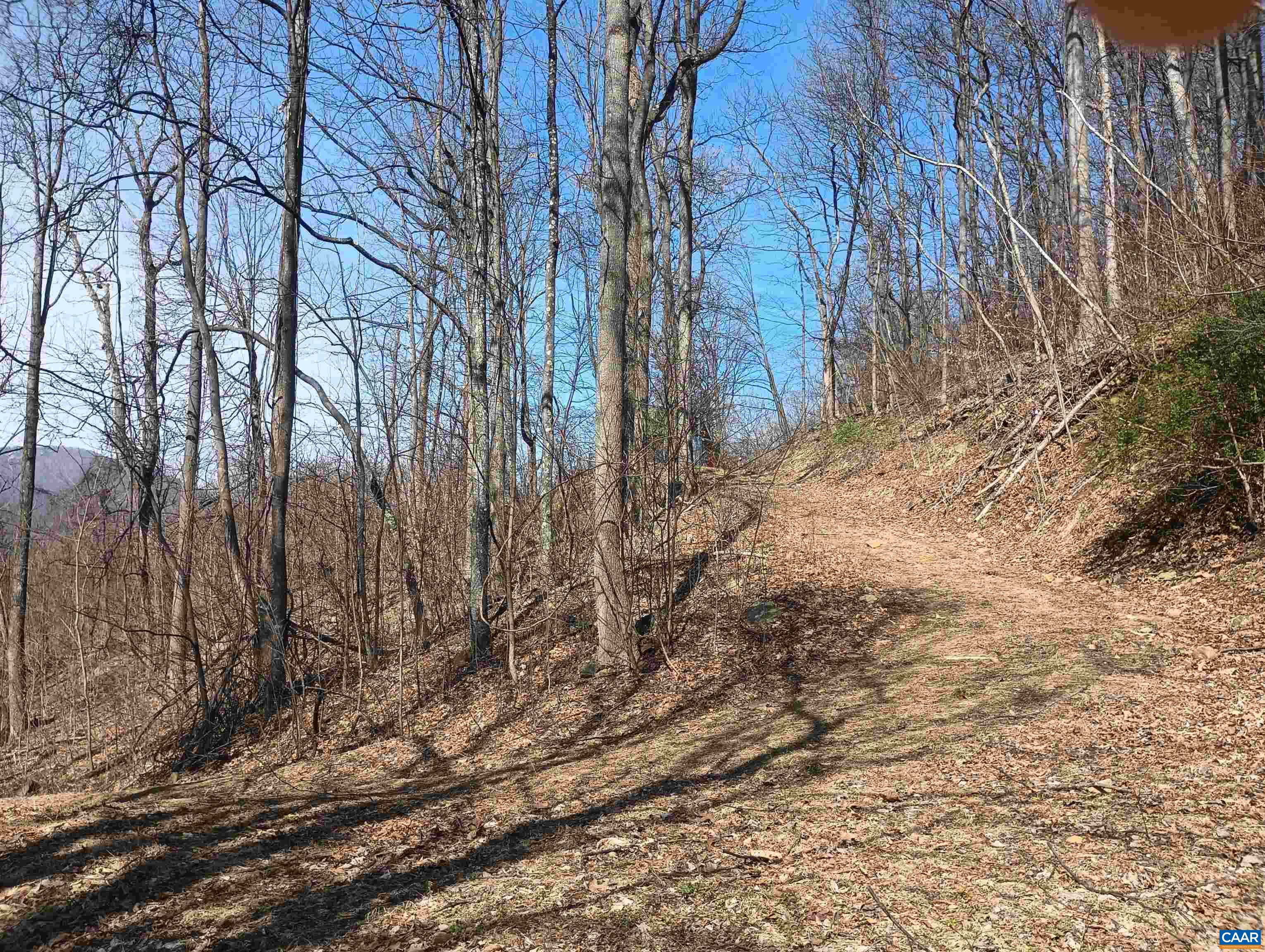 1215 BATTERY HILL LN, TYRO, Virginia 22976, ,Land,1215 BATTERY HILL LN,674797 MLS # 674797